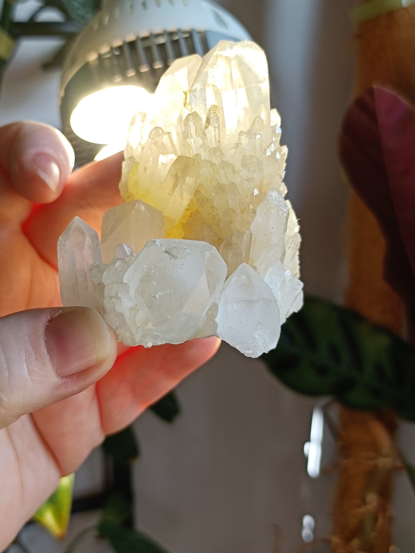 'Abundance' Quartz Raw Specimen - 196g