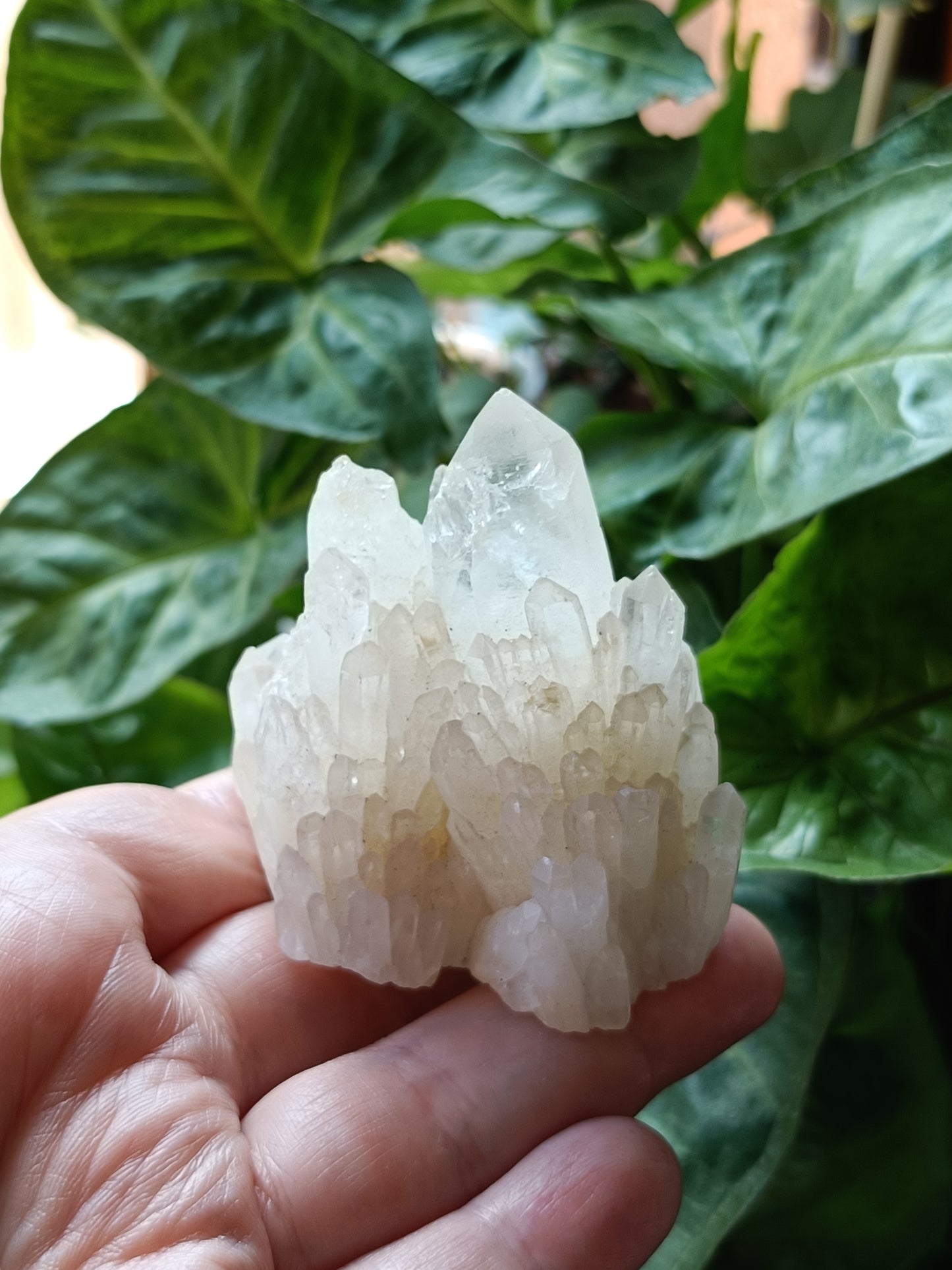 'Abundance' Quartz Raw Specimen - 116g