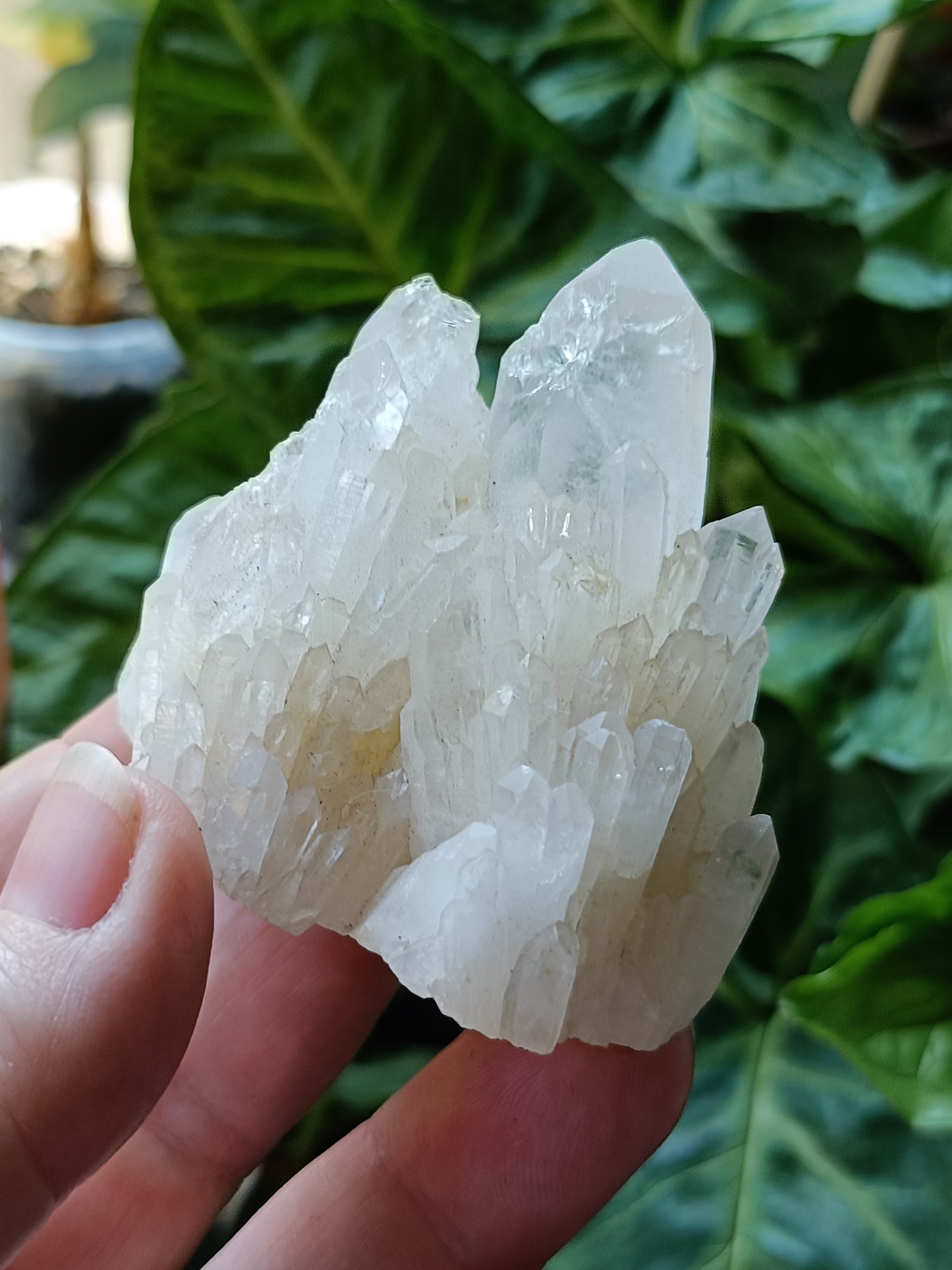 'Abundance' Quartz Raw Specimen - 116g