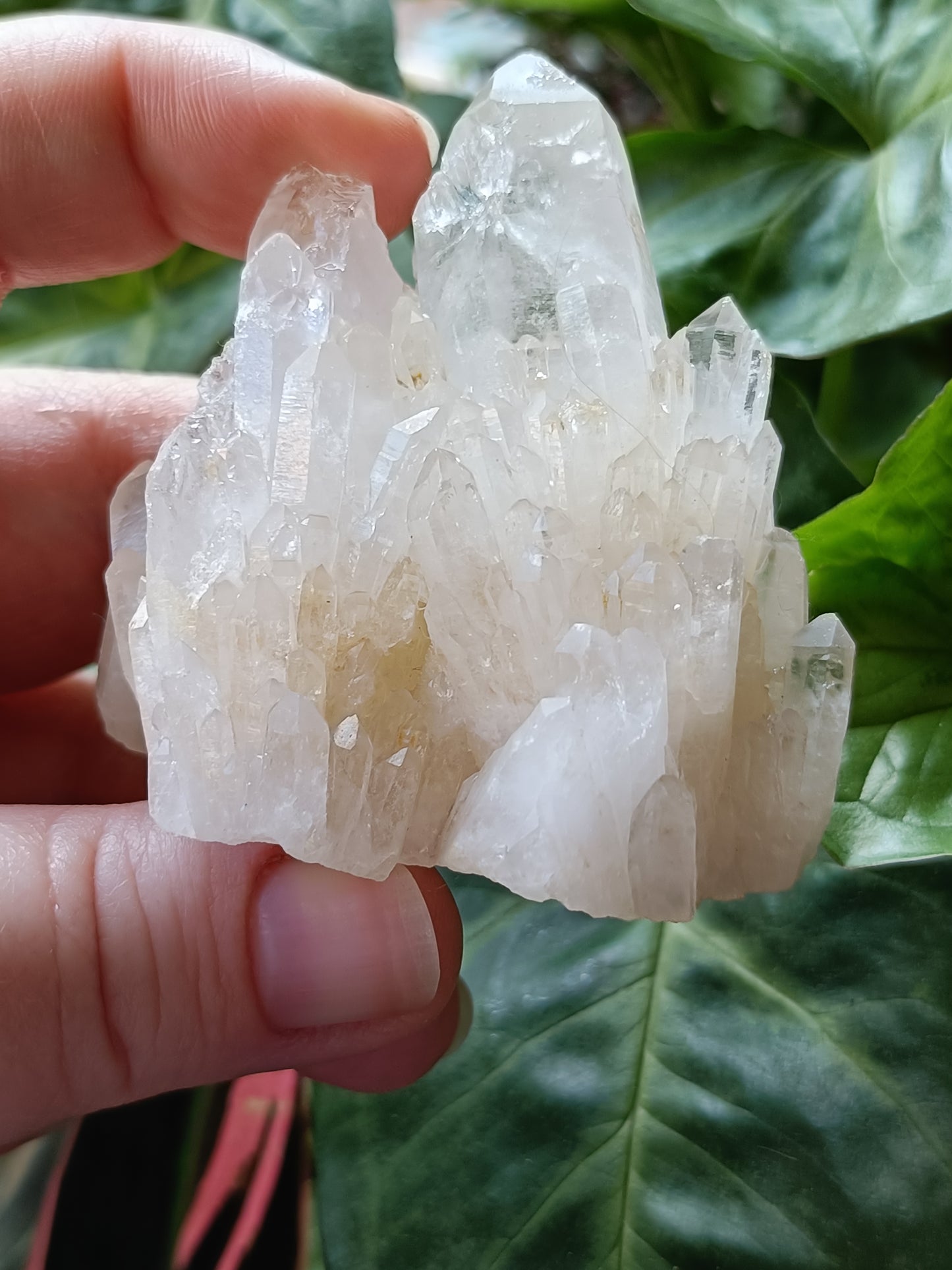 'Abundance' Quartz Raw Specimen - 116g