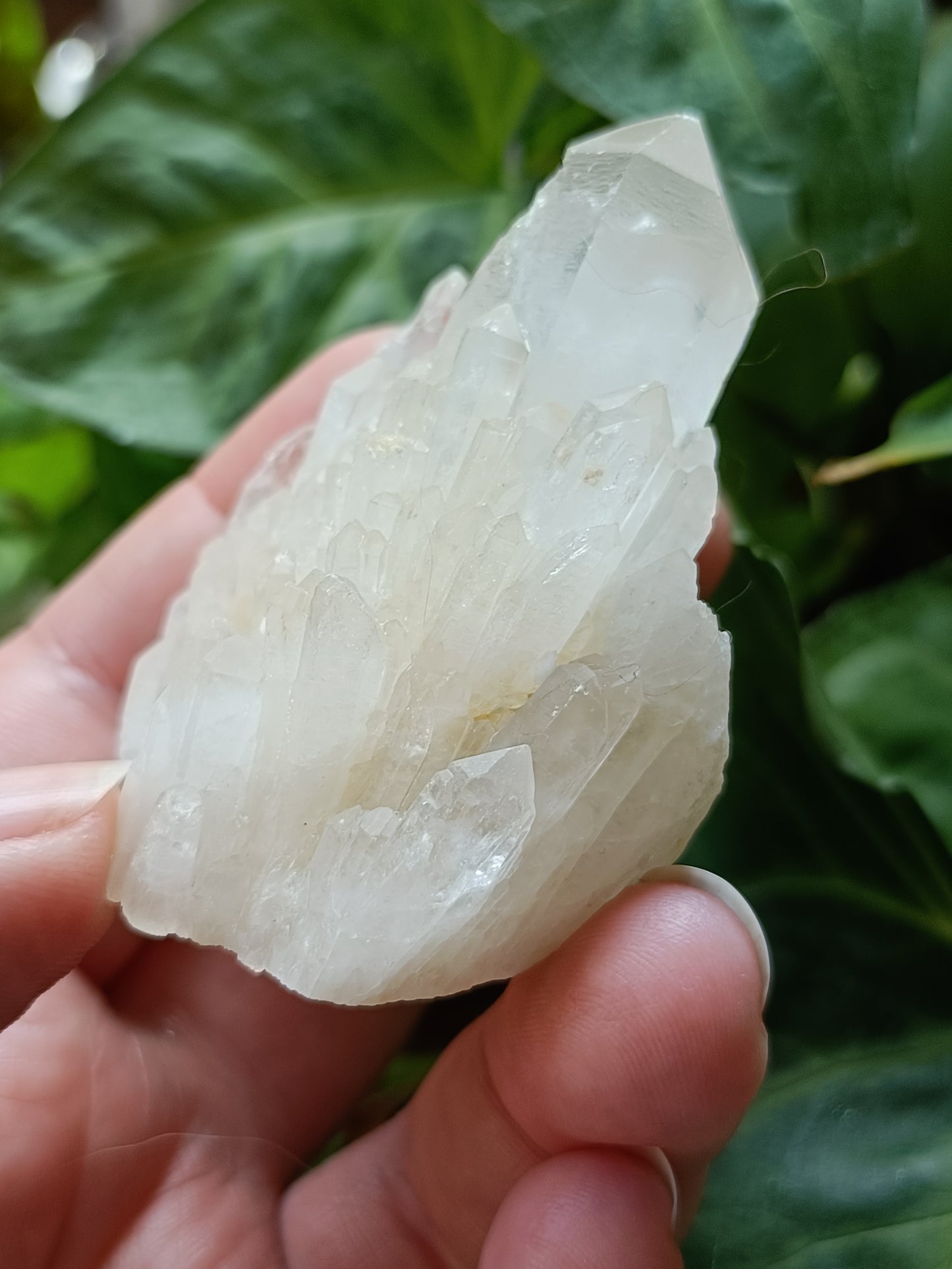 'Abundance' Quartz Raw Specimen - 116g