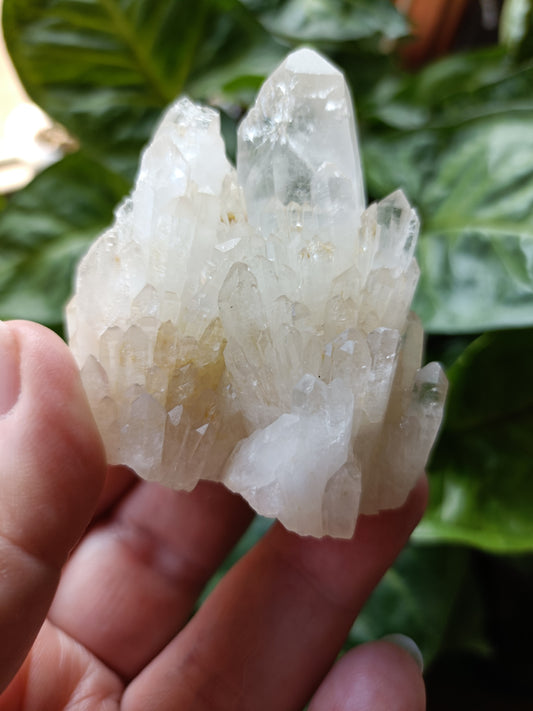 'Abundance' Quartz Raw Specimen - 116g