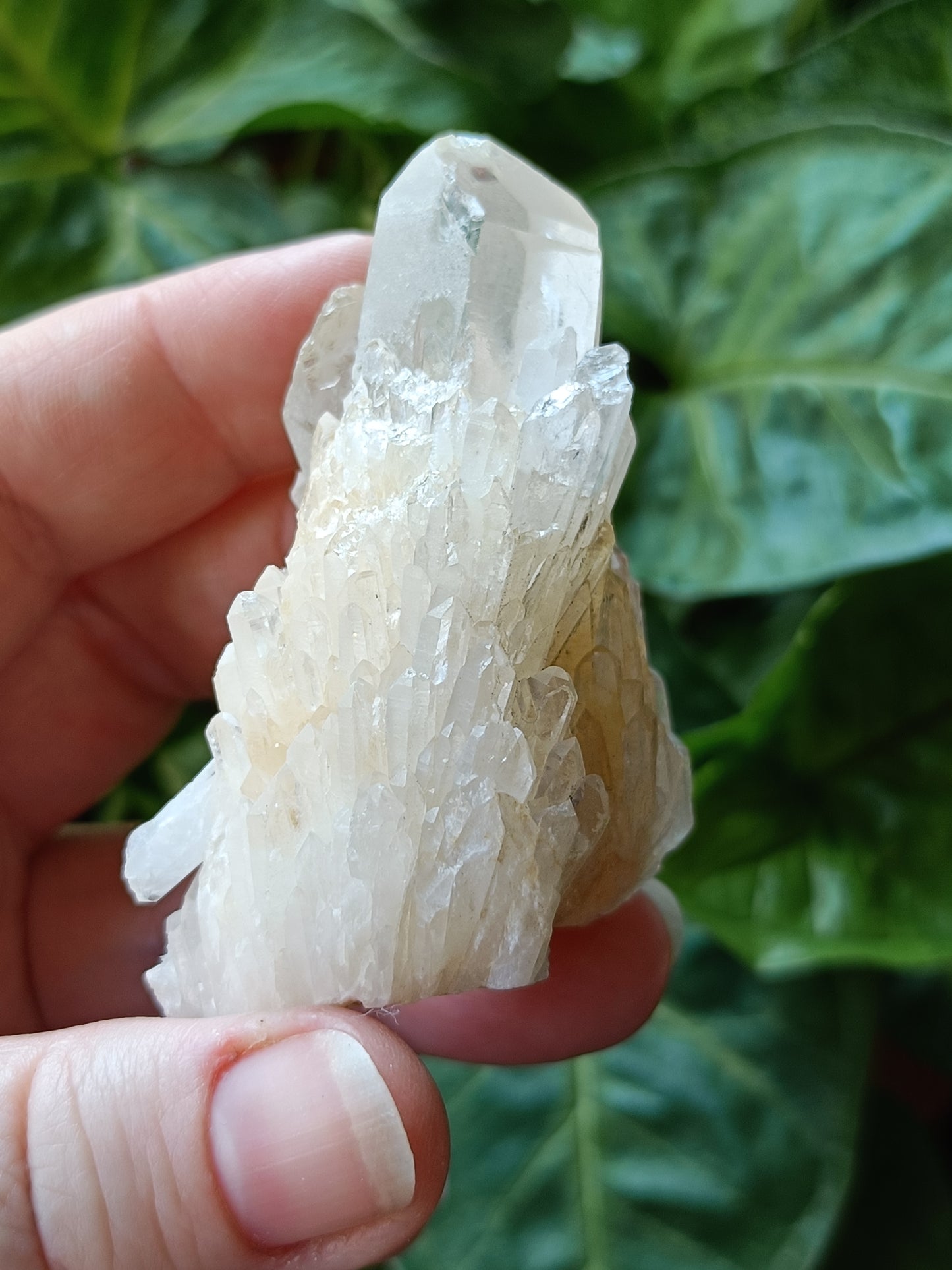'Abundance' Quartz Raw Specimen - 70g