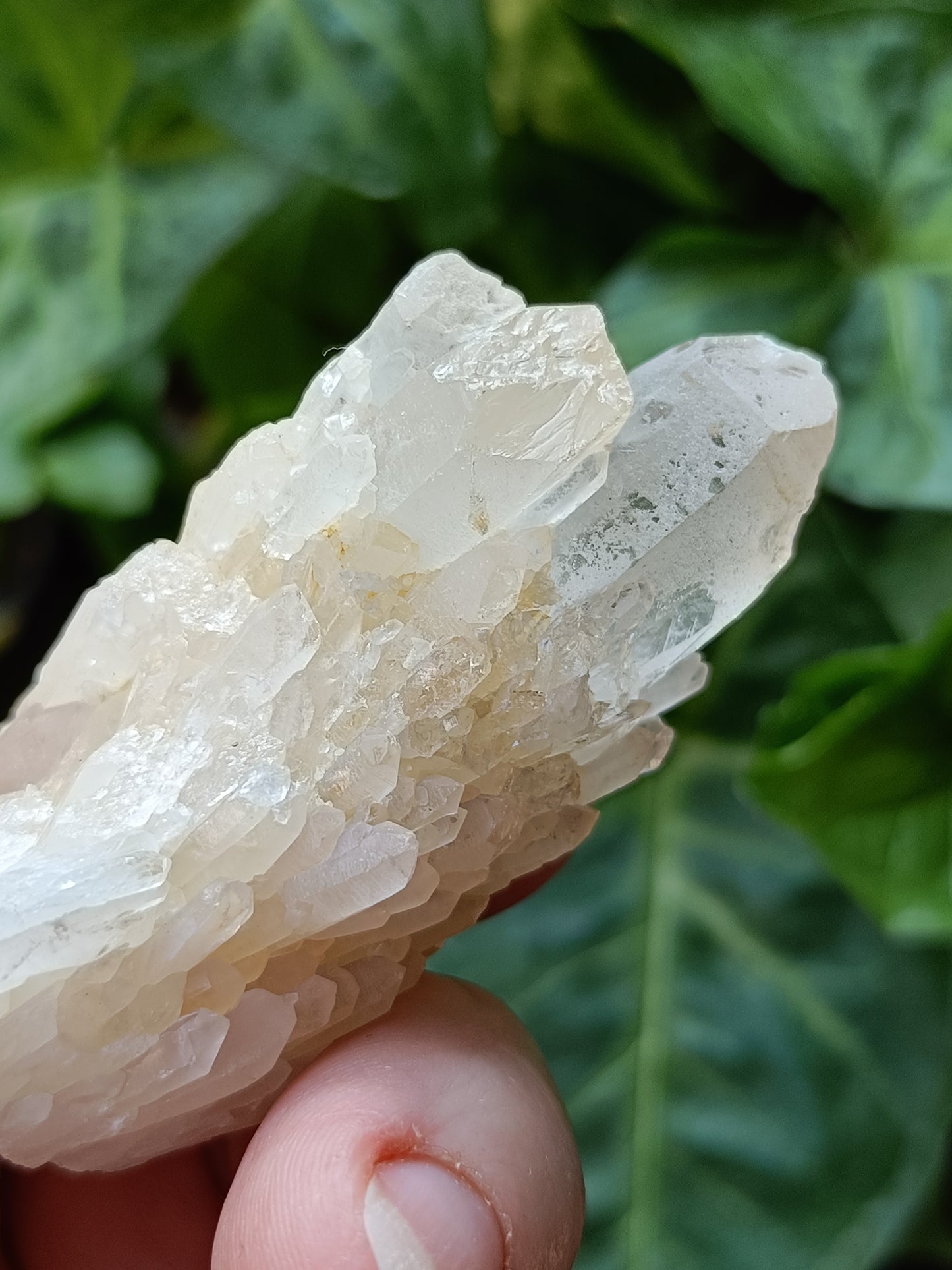 'Abundance' Quartz Raw Specimen - 70g