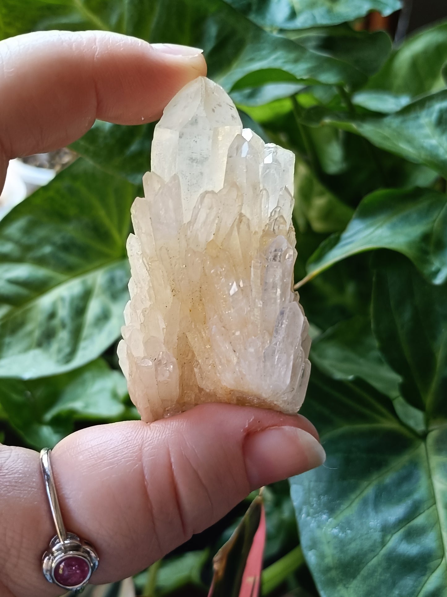 'Abundance' Quartz Raw Specimen - 70g
