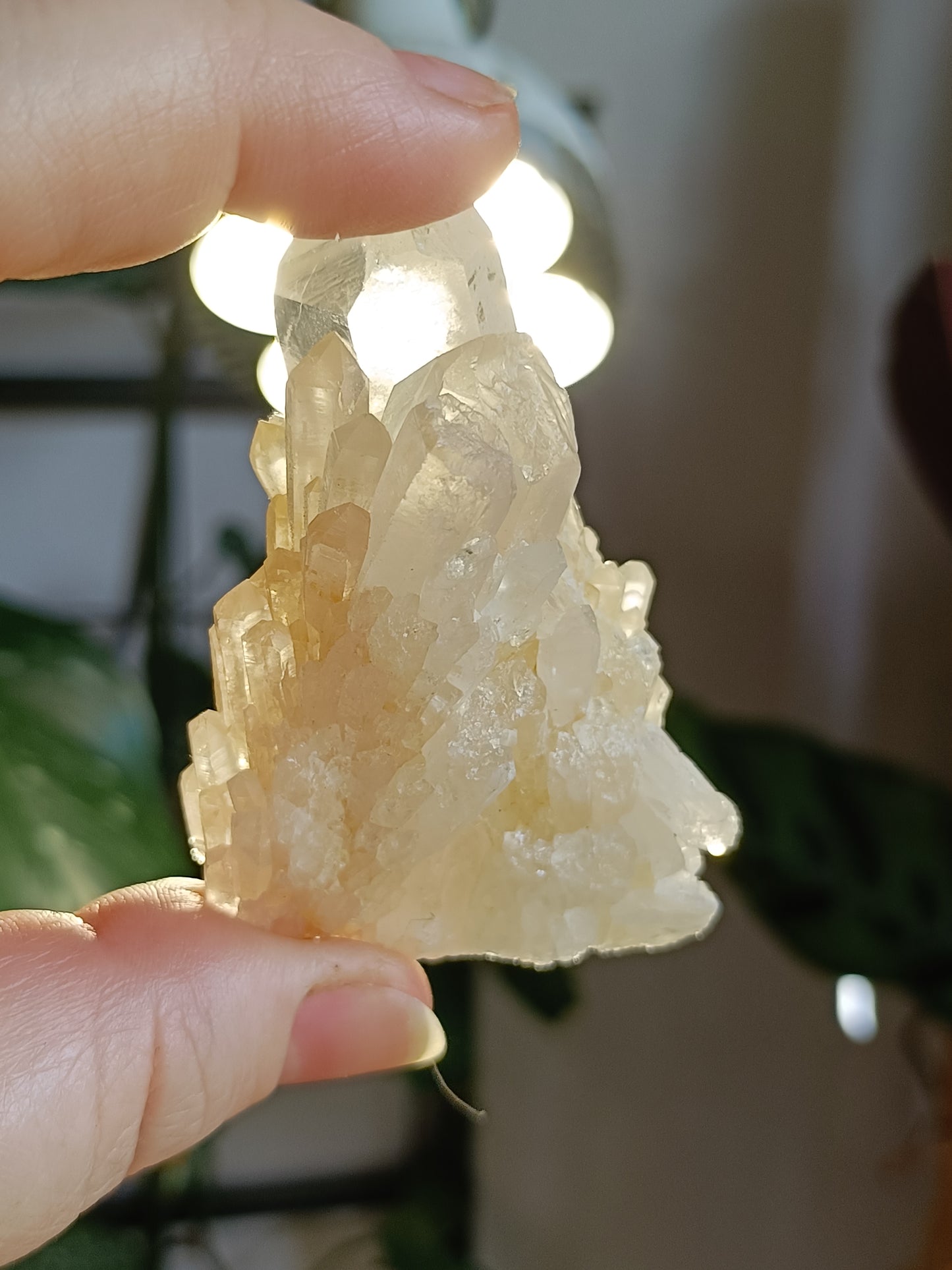 'Abundance' Quartz Raw Specimen - 70g