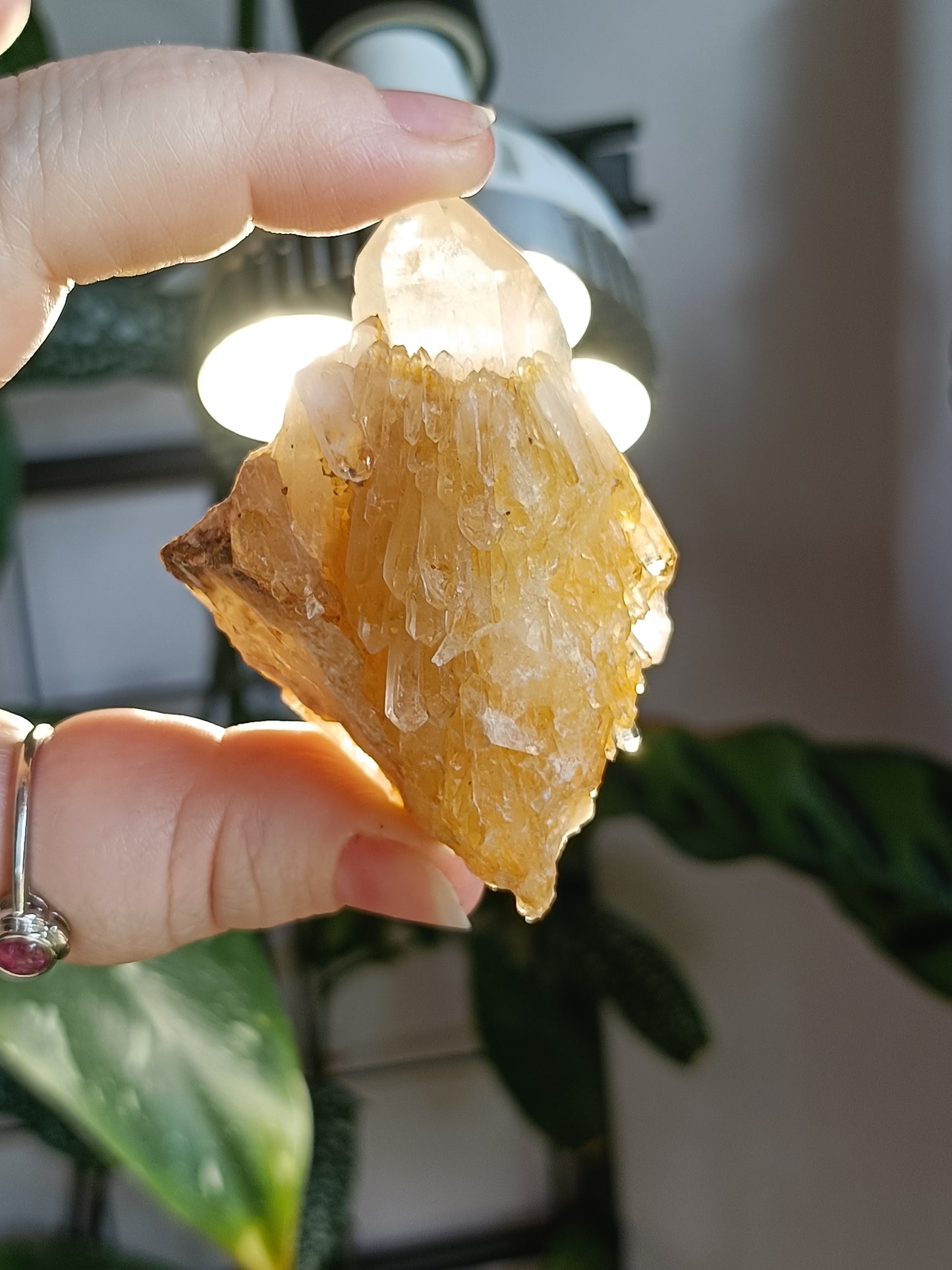 'Abundance' Quartz Raw Specimen - 78g
