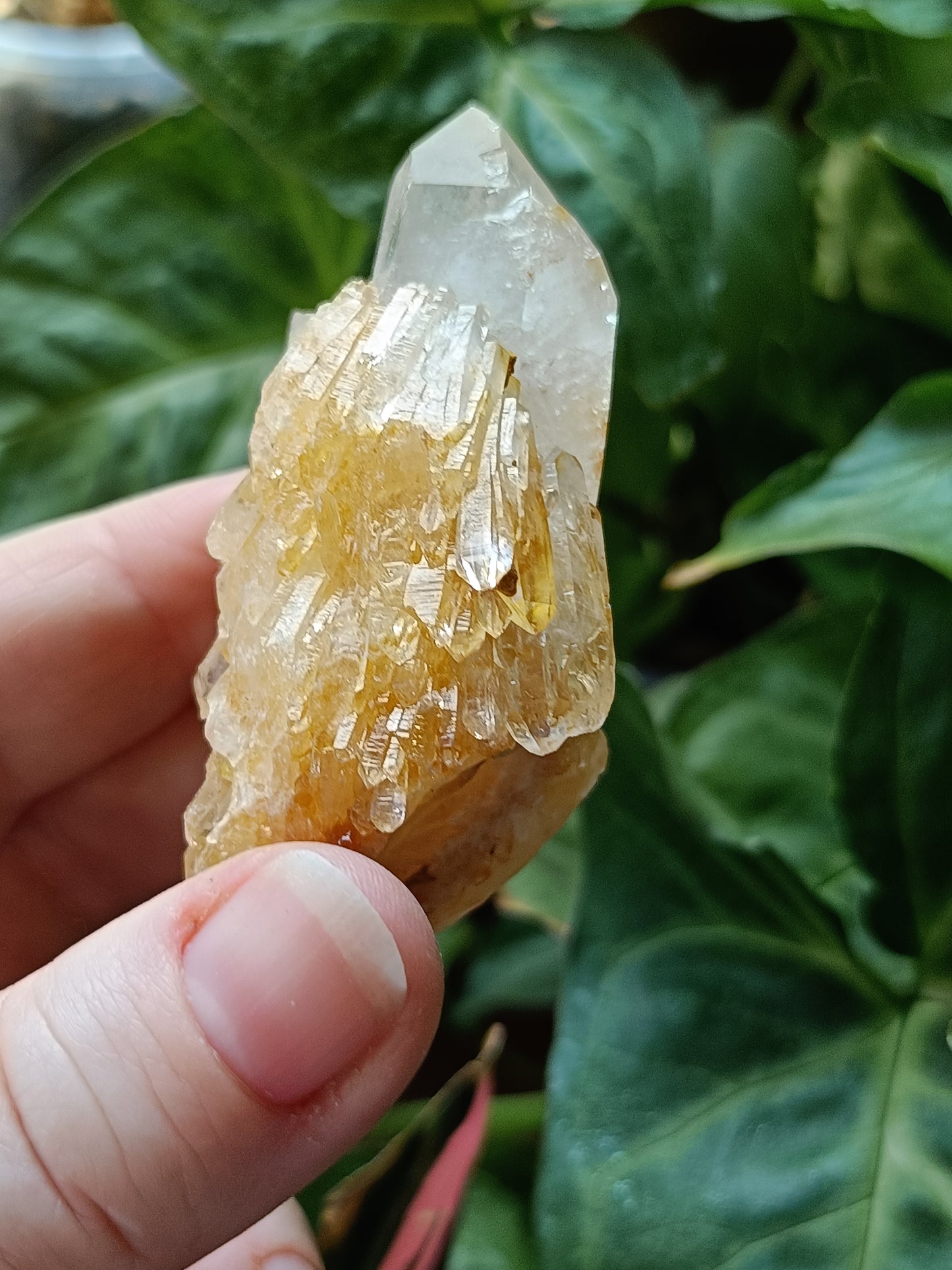 'Abundance' Quartz Raw Specimen - 78g