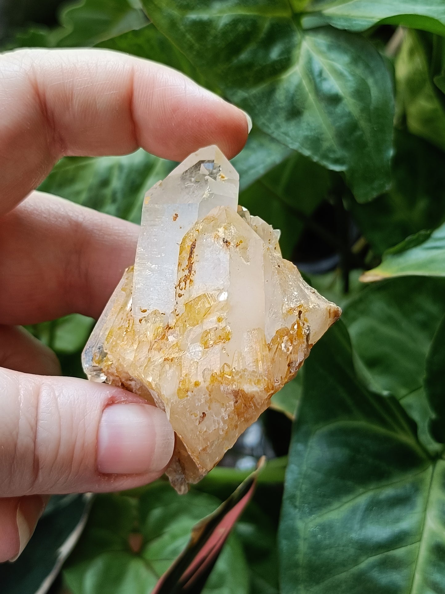 'Abundance' Quartz Raw Specimen - 78g
