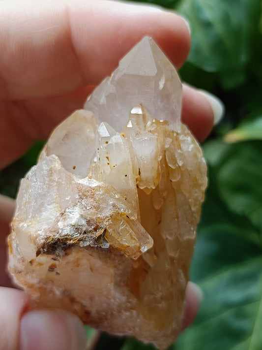 'Abundance' Quartz Raw Specimen - 78g
