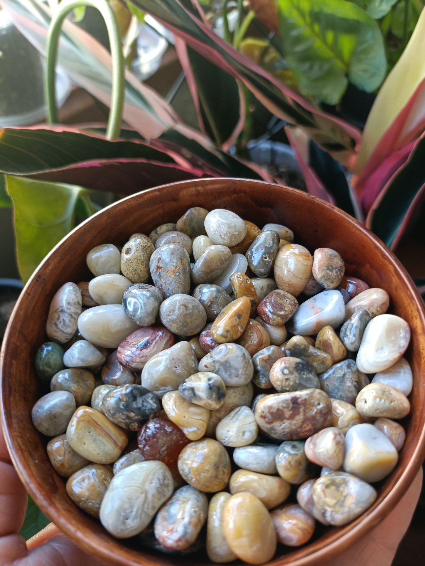 Crazy Lace Agate MINI Tumbles - 50g