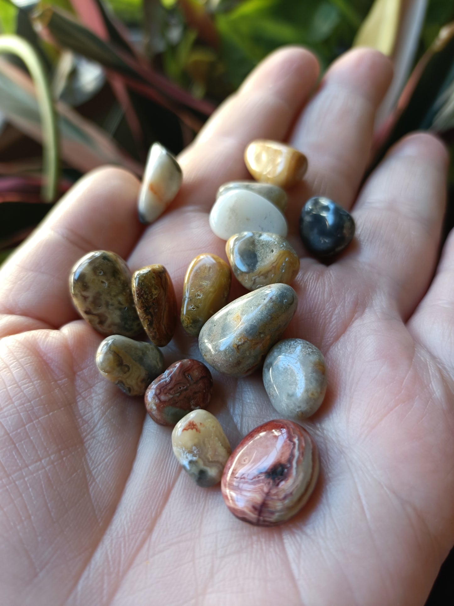 Crazy Lace Agate MINI Tumbles - 50g