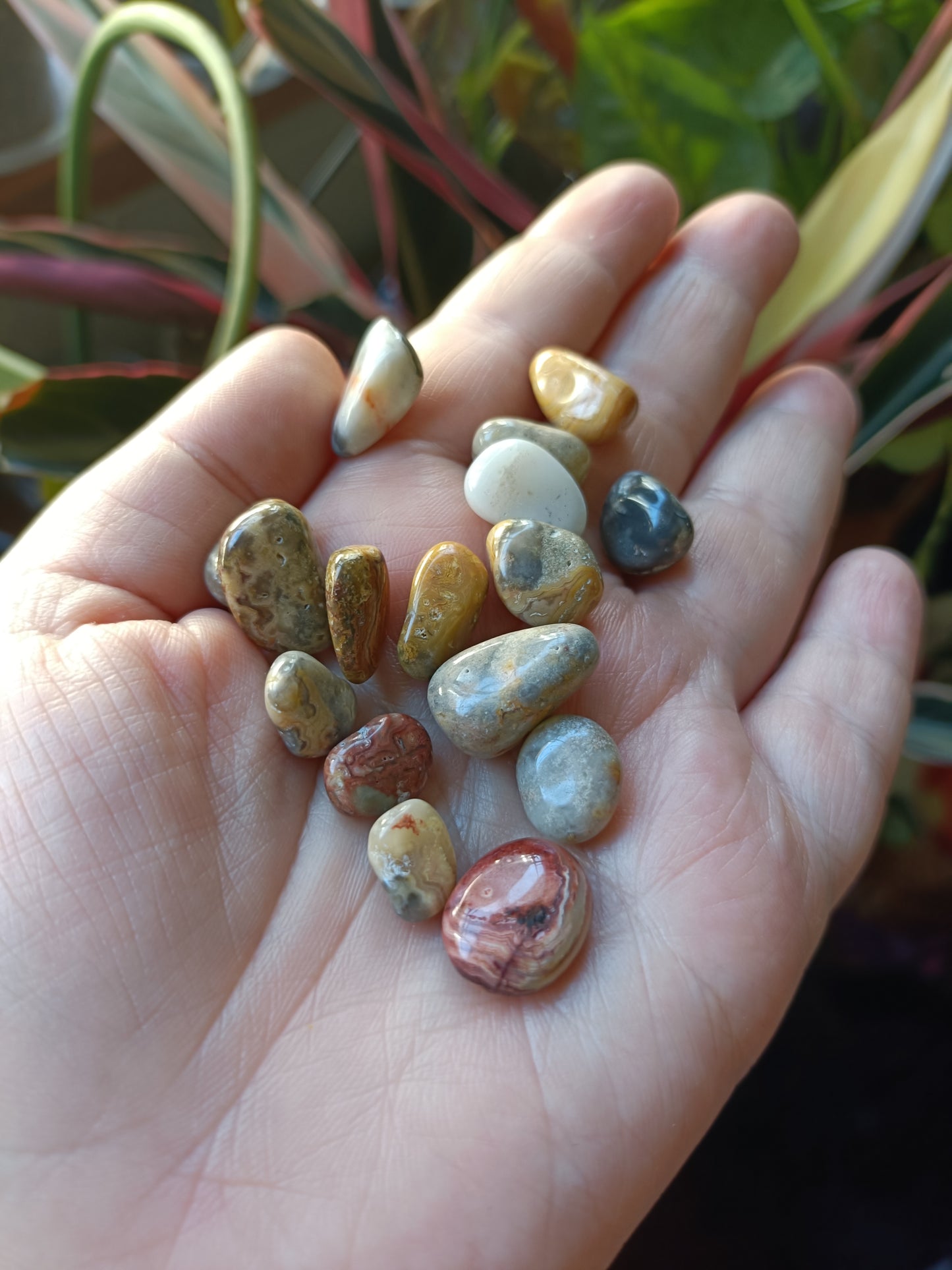 Crazy Lace Agate MINI Tumbles - 50g