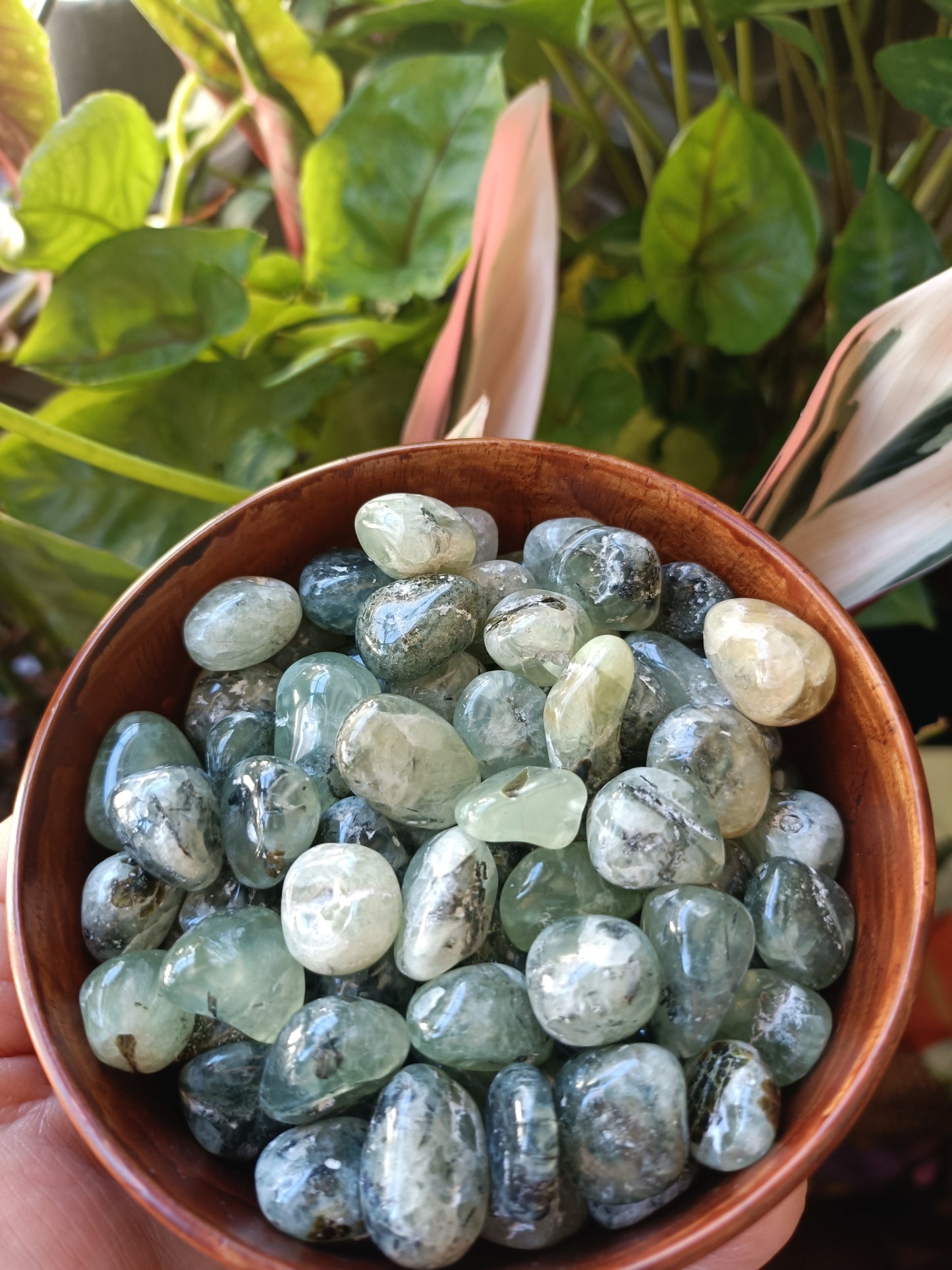 Prehnite SMALL Tumbles - 50g