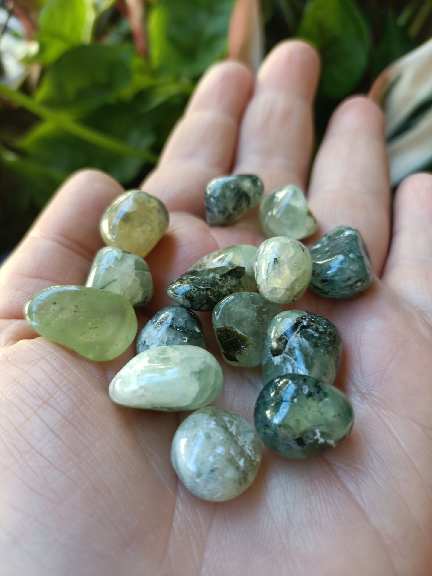Prehnite SMALL Tumbles - 50g