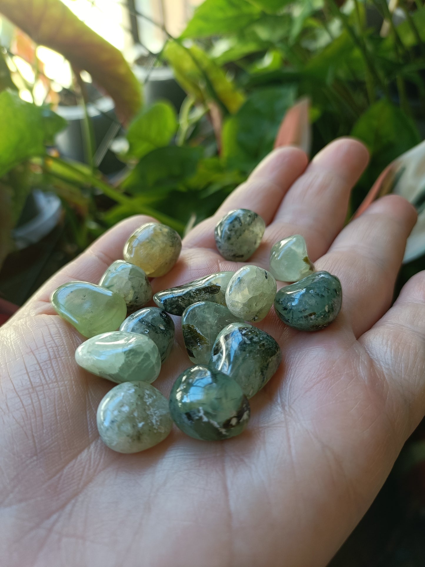 Prehnite SMALL Tumbles - 50g