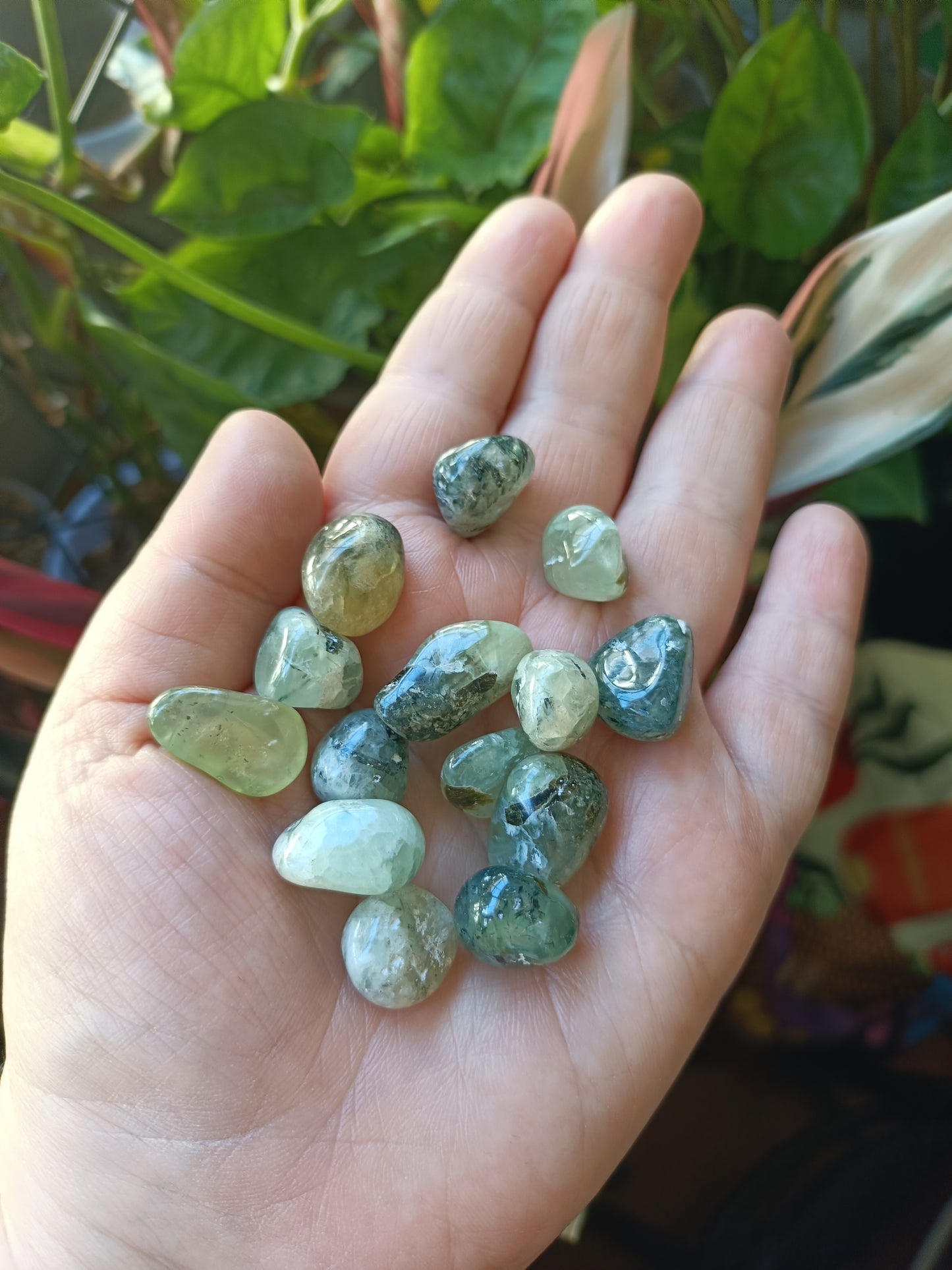 Prehnite SMALL Tumbles - 50g