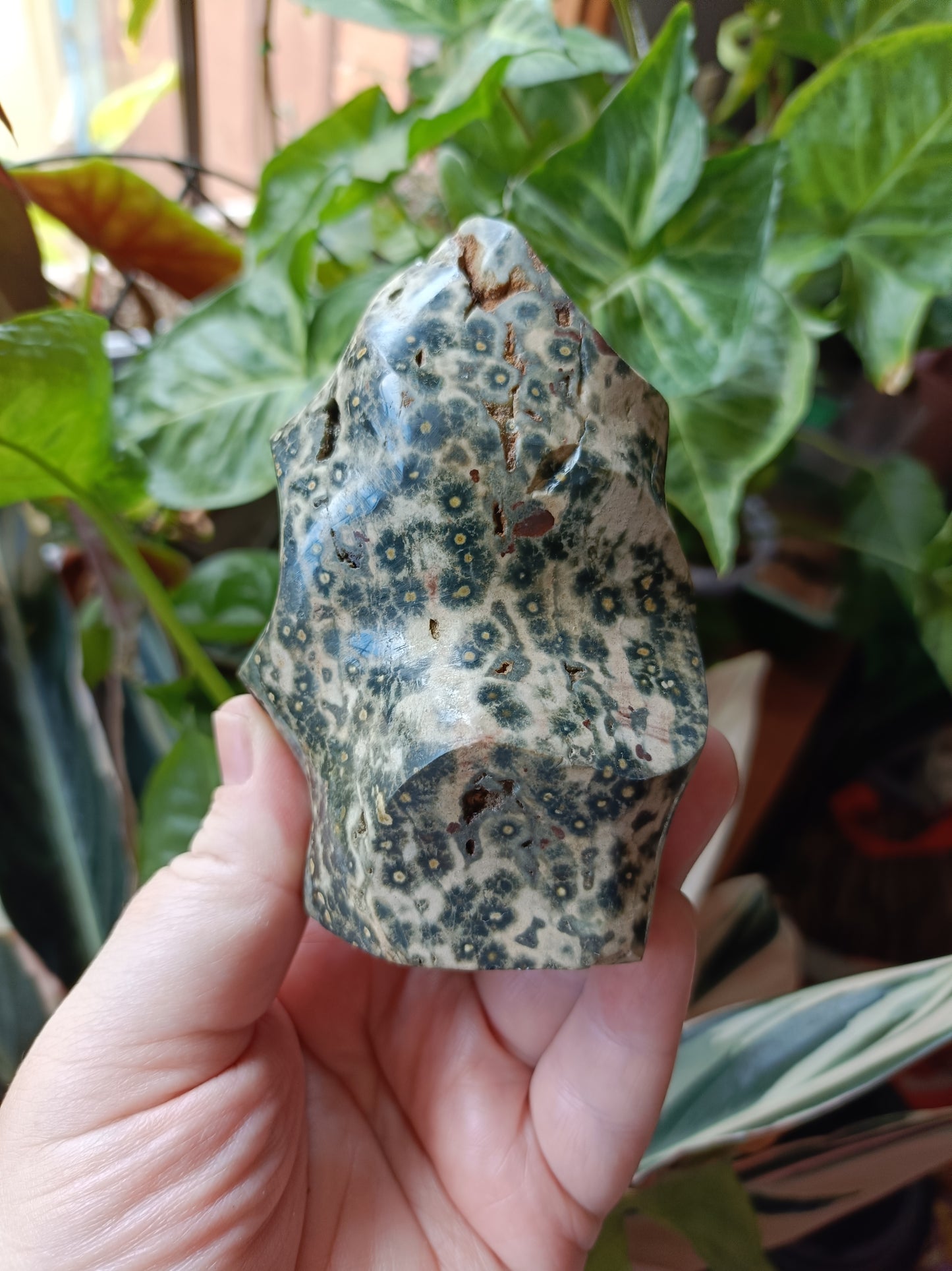 Ocean Jasper Flame - 404g