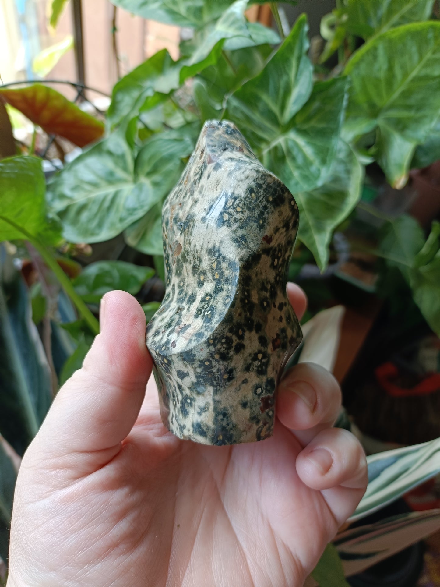 Ocean Jasper Flame - 404g
