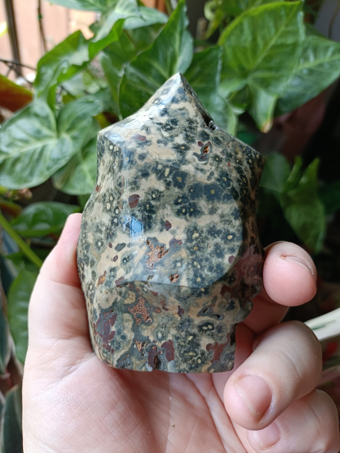 Ocean Jasper Flame - 404g