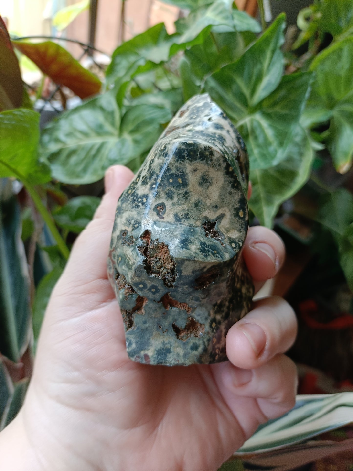 Ocean Jasper Flame - 404g