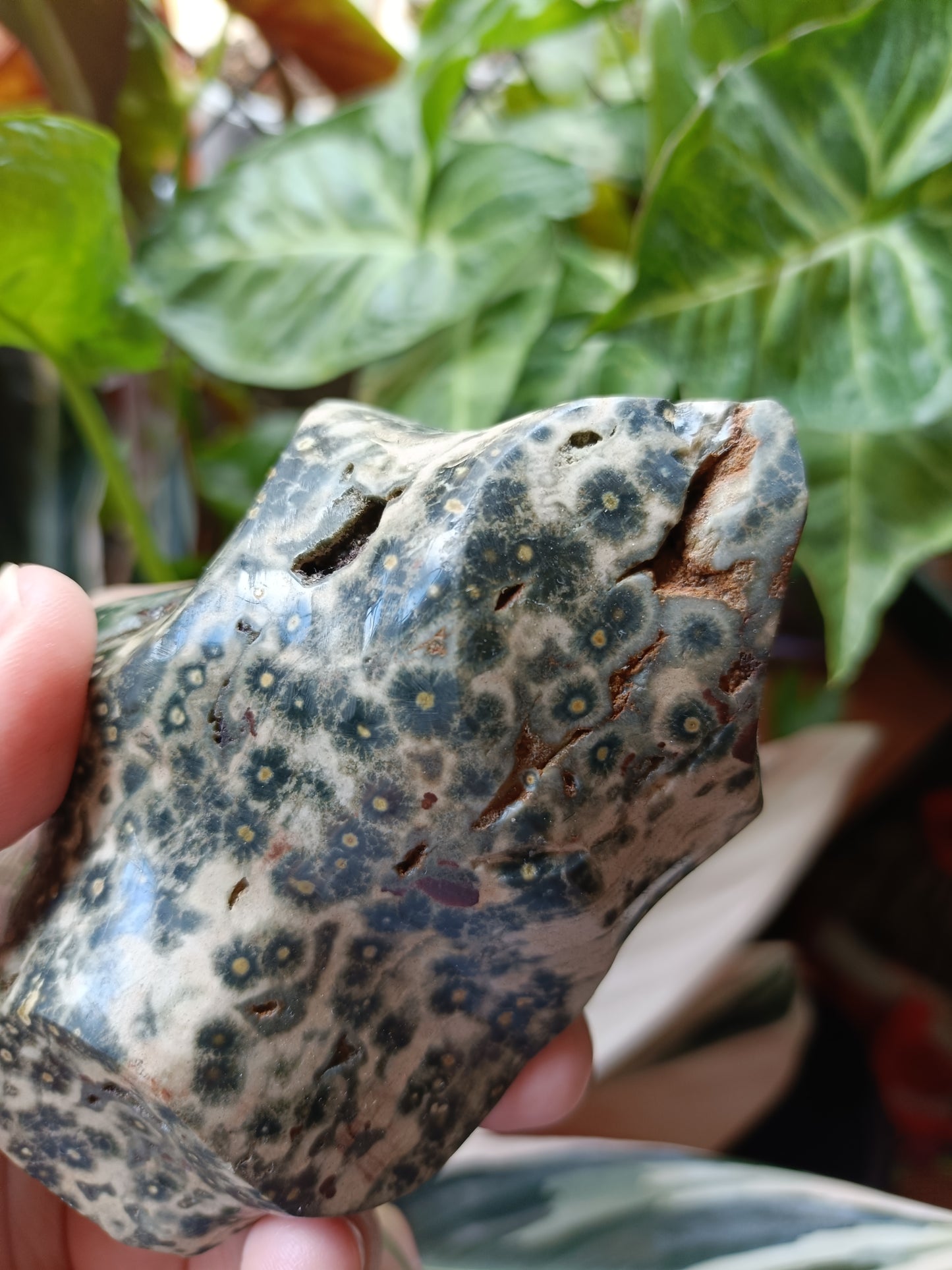 Ocean Jasper Flame - 404g