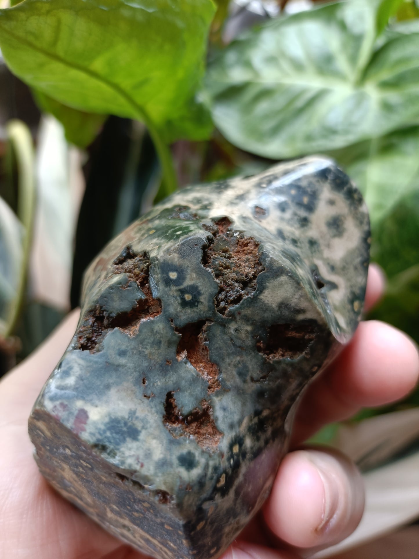 Ocean Jasper Flame - 404g