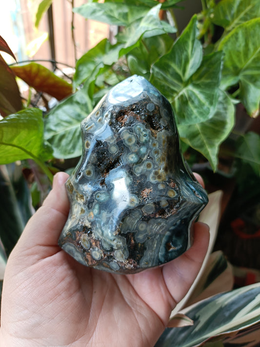 Ocean Jasper Flame - 650g