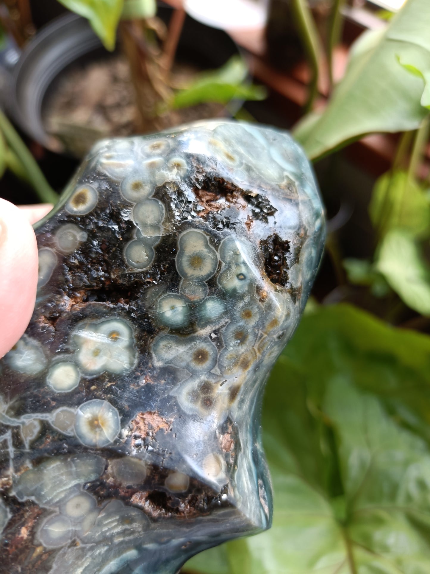Ocean Jasper Flame - 650g