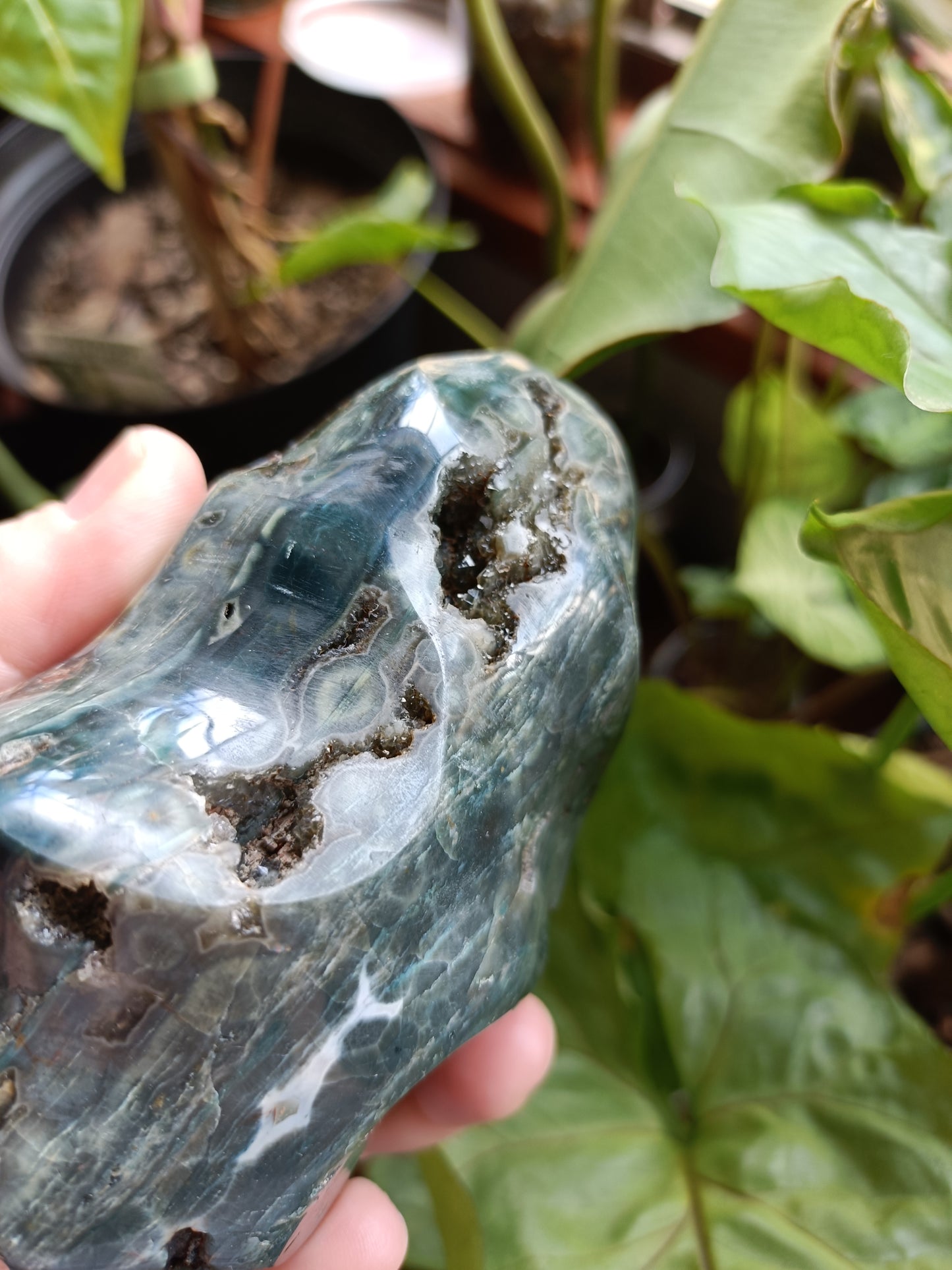 Ocean Jasper Flame - 650g