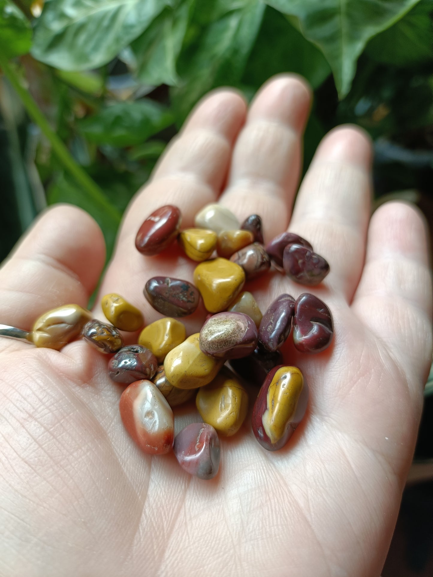 Mookaite MINI Tumbles - 50g