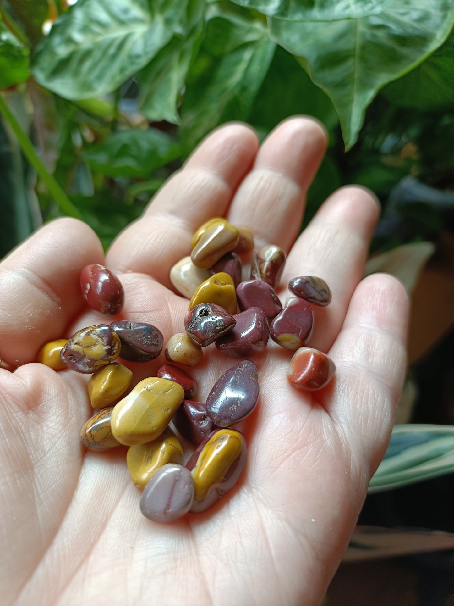 Mookaite MINI Tumbles - 50g