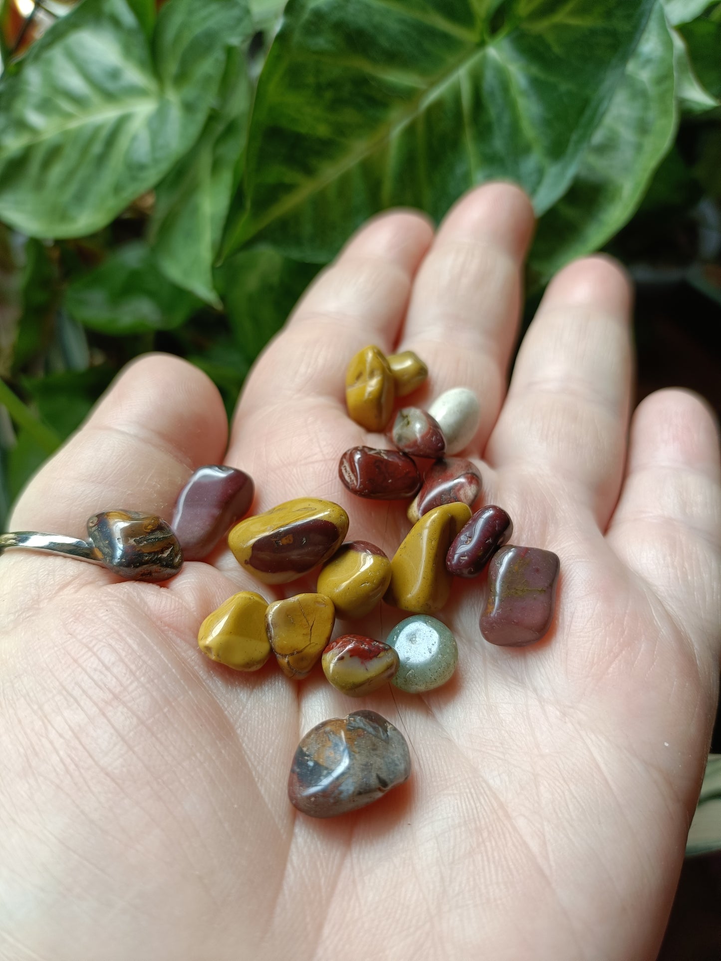 Mookaite MINI Tumbles - 50g