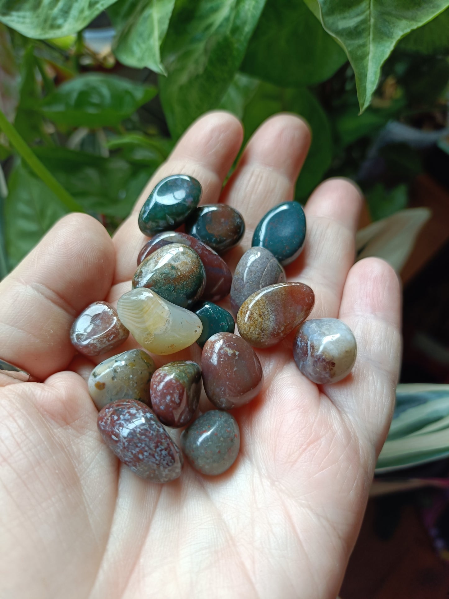 Ocean Jasper SMALL Tumbles - 50g