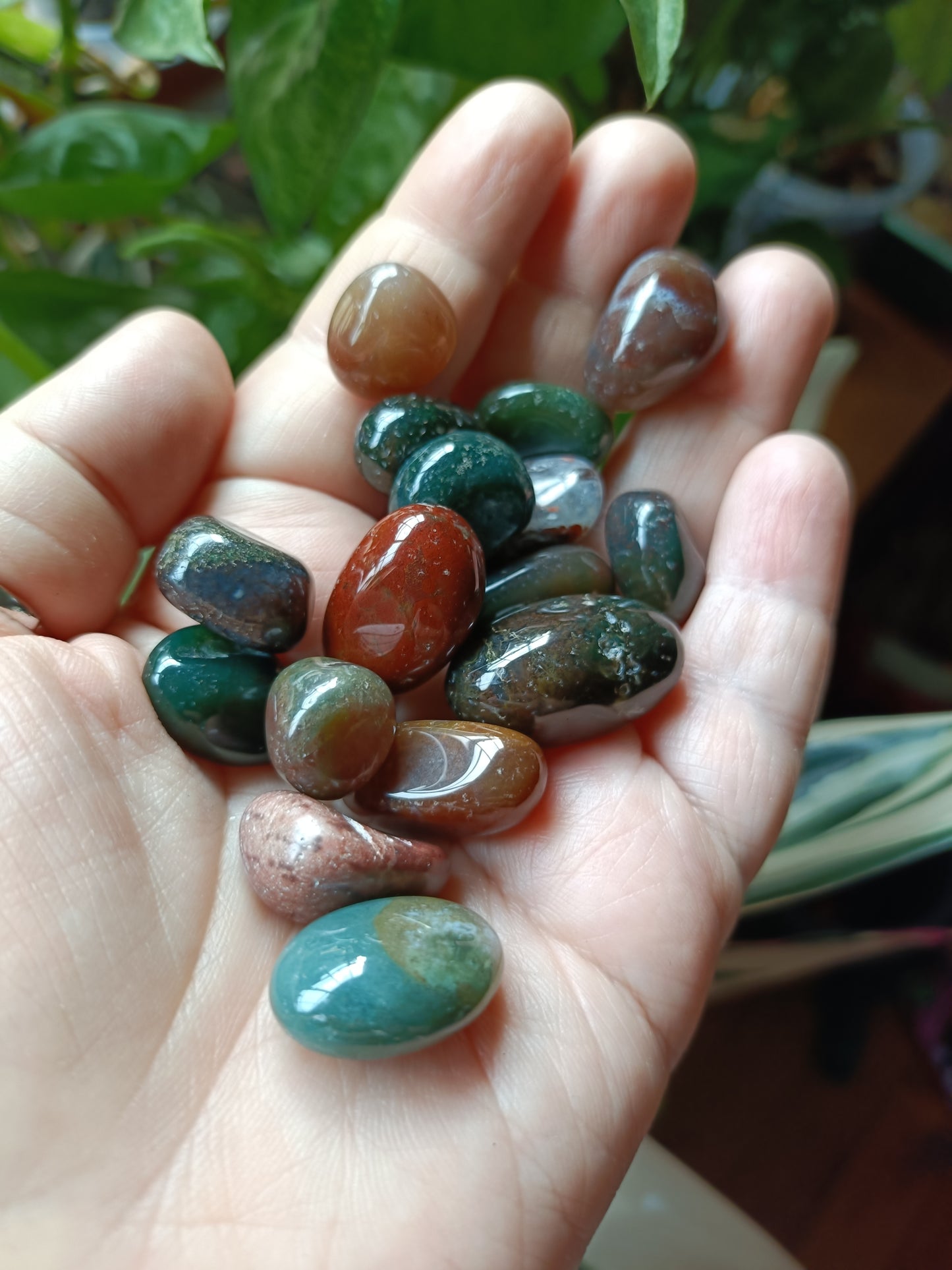 Ocean Jasper SMALL Tumbles - 50g