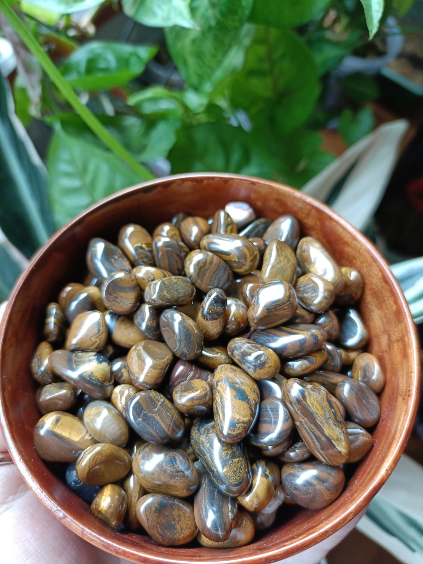 Tigers Eye MINI Tumbles - 50g