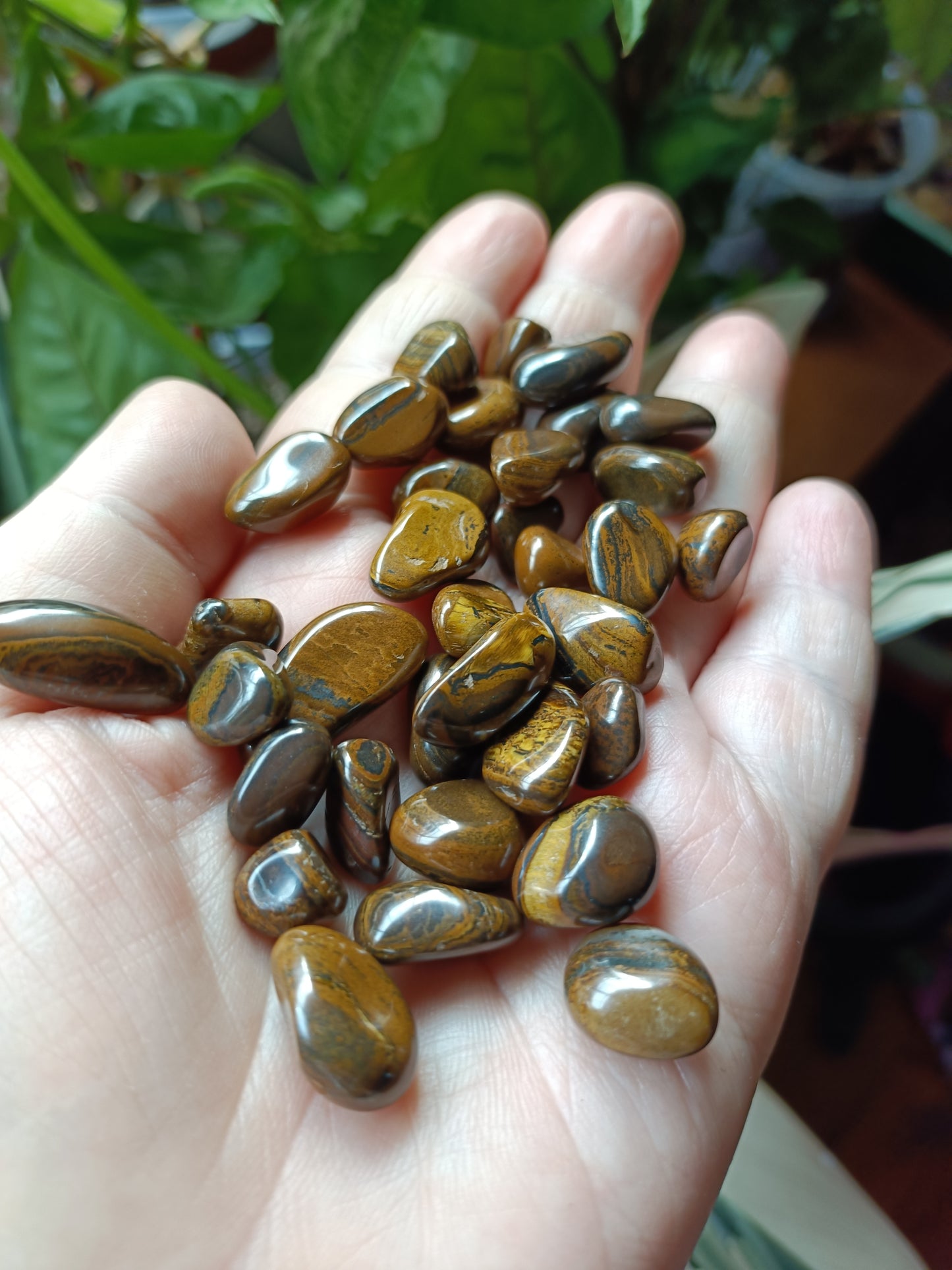 Tigers Eye MINI Tumbles - 50g