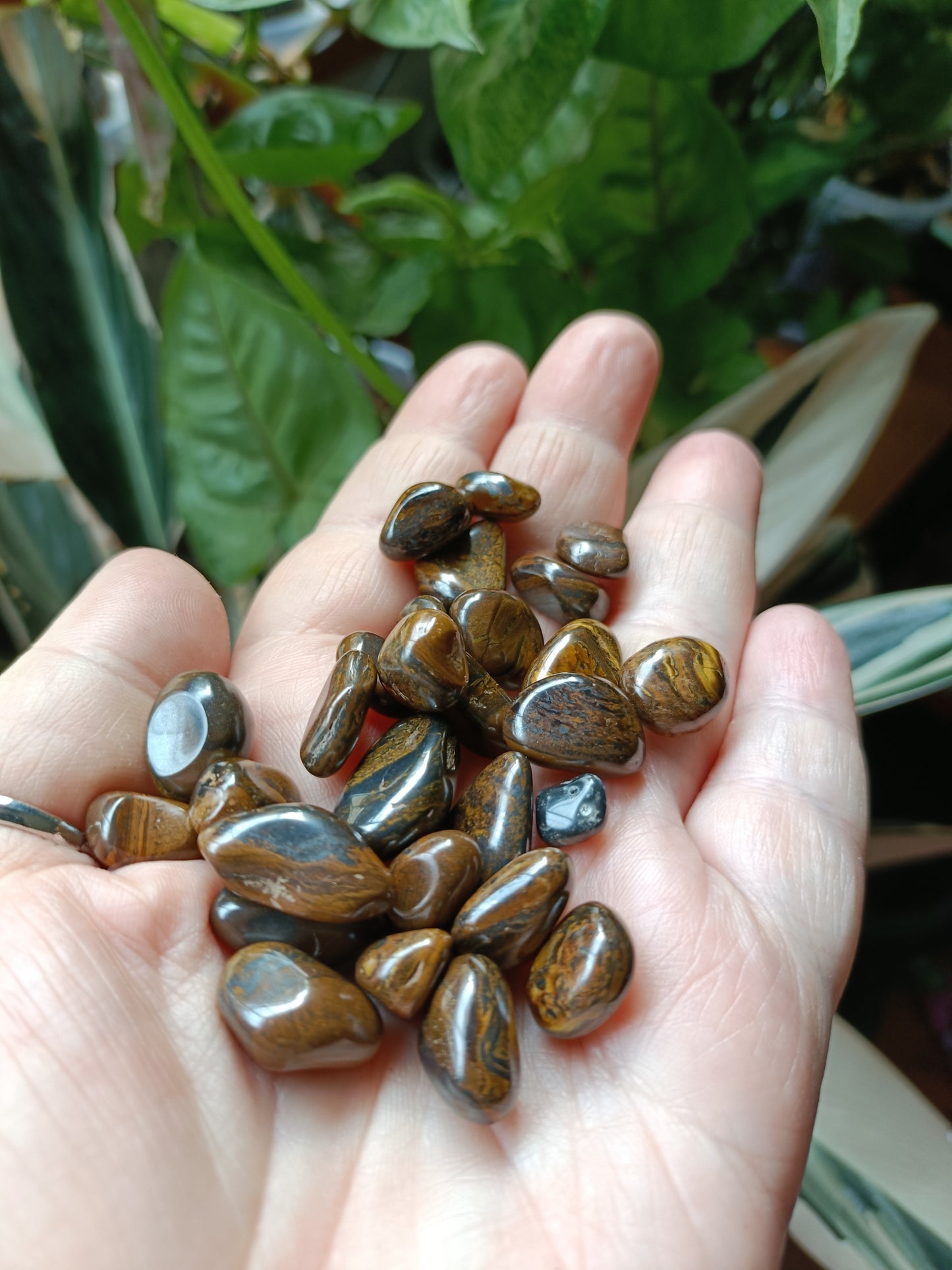 Tigers Eye MINI Tumbles - 50g