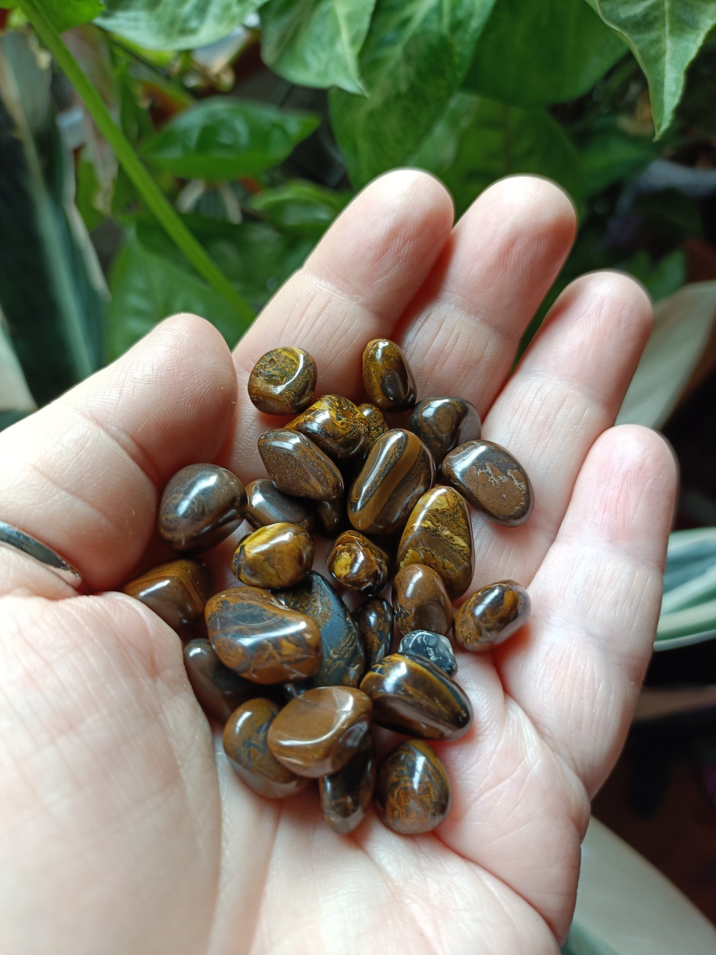 Tigers Eye MINI Tumbles - 50g