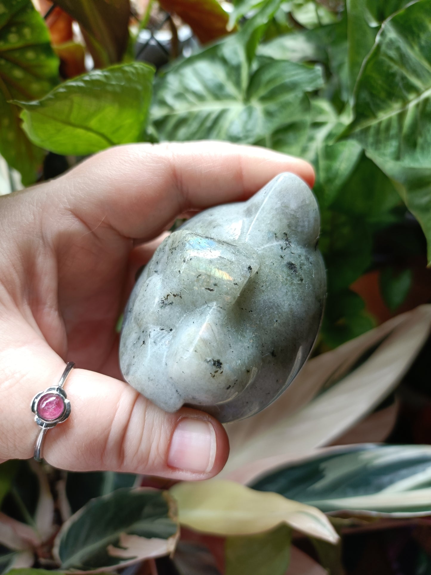 Labradorite Anime Kitty Carving - 480g
