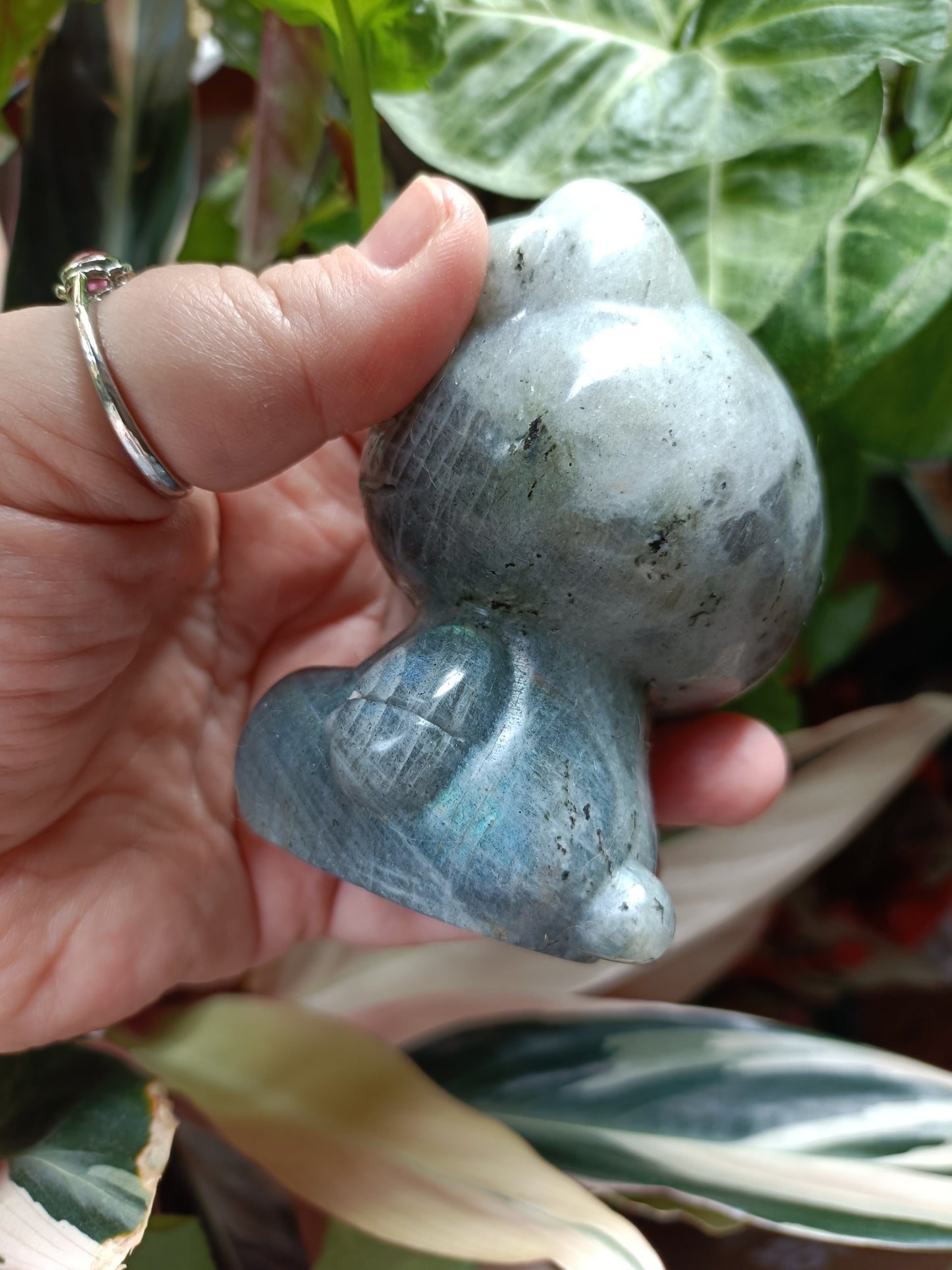 Labradorite Anime Kitty Carving - 480g