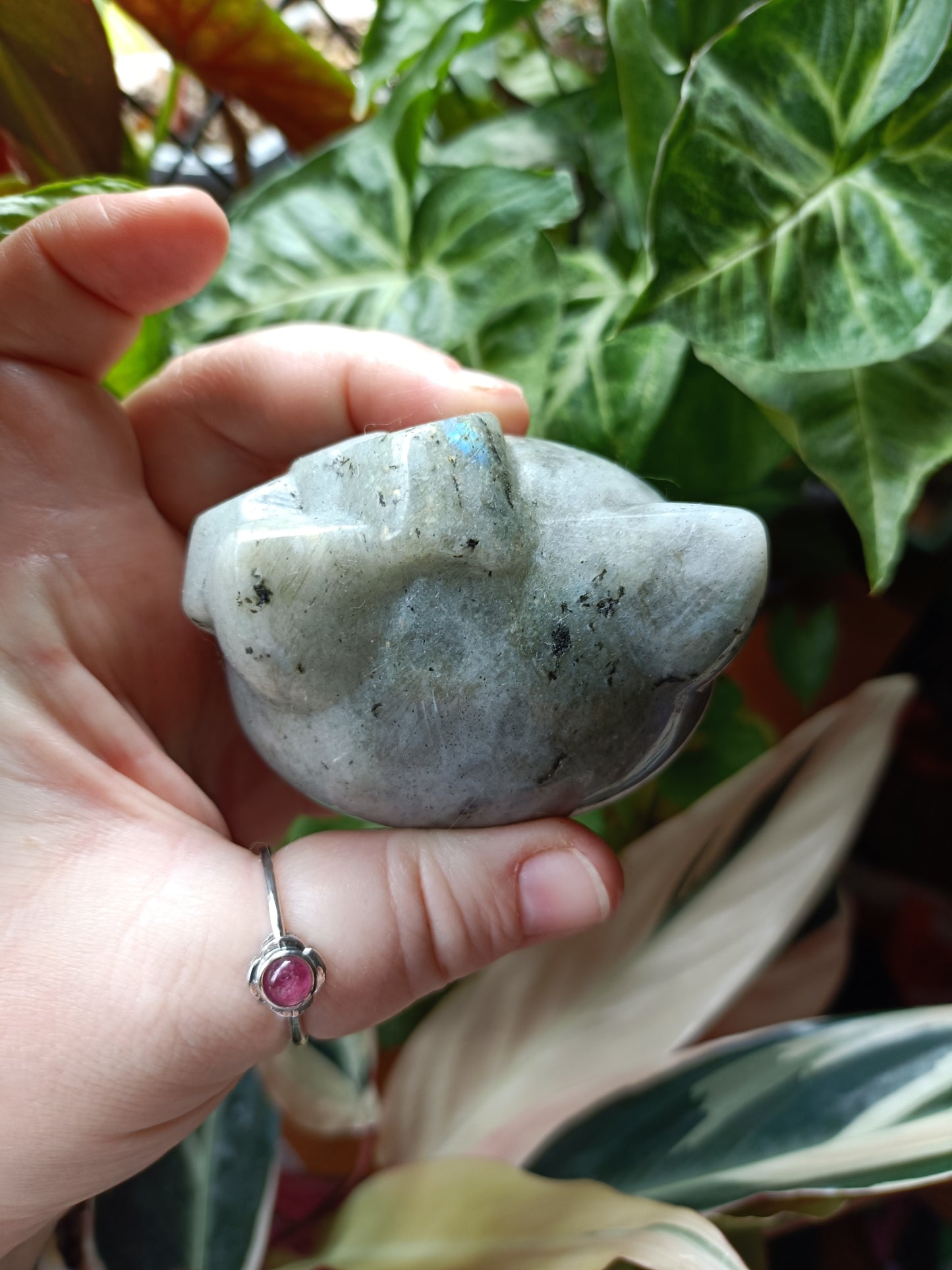 Labradorite Anime Kitty Carving - 480g
