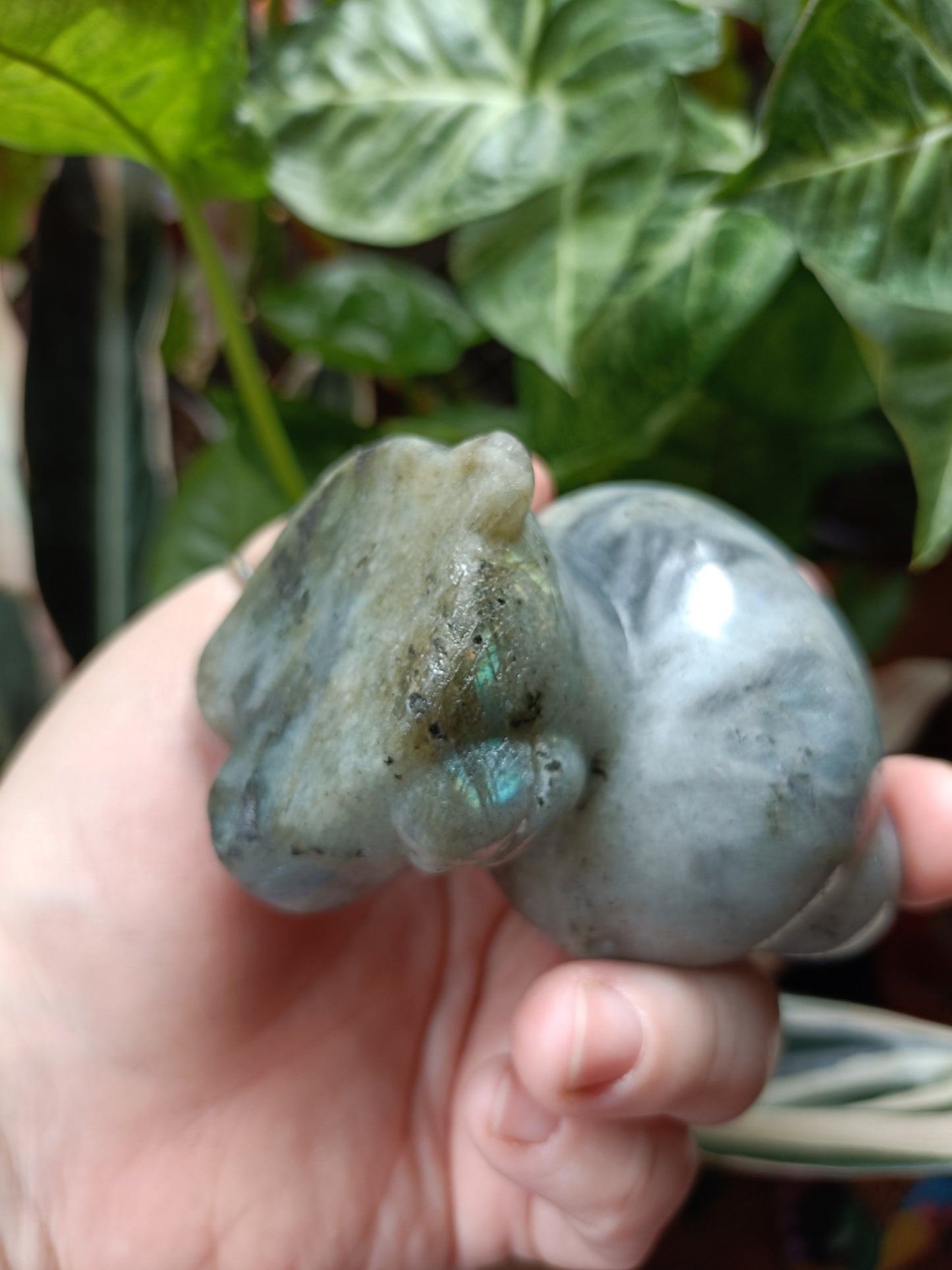 Labradorite Anime Kitty Carving - 458g