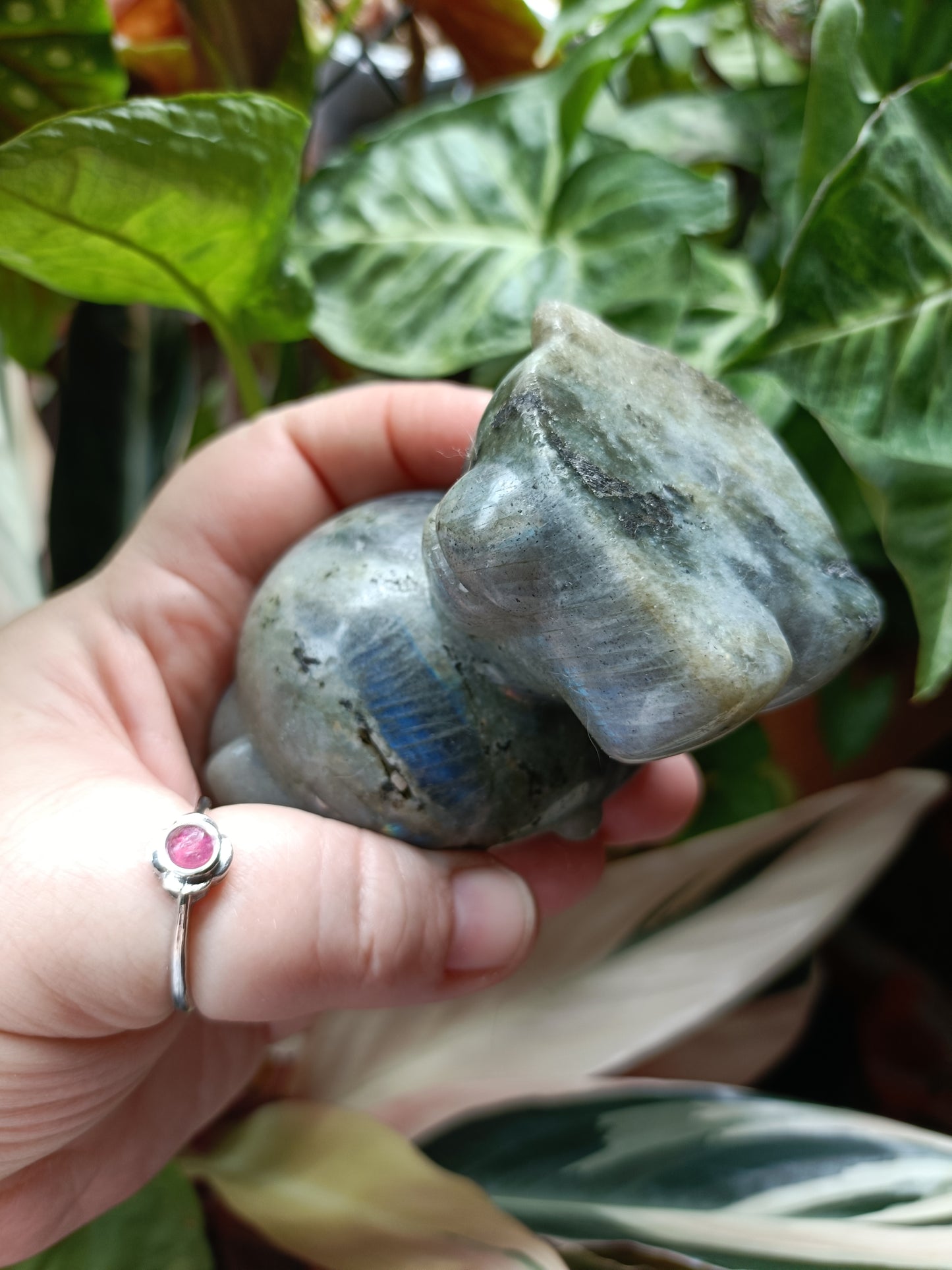 Labradorite Anime Kitty Carving - 458g