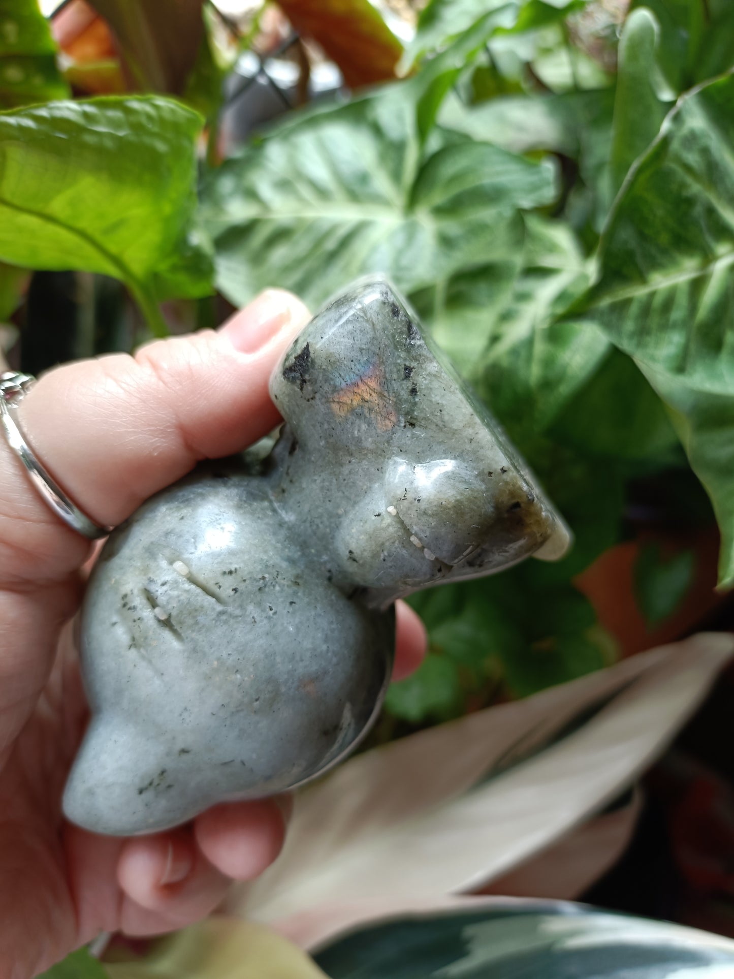 Labradorite Anime Kitty Carving - 458g