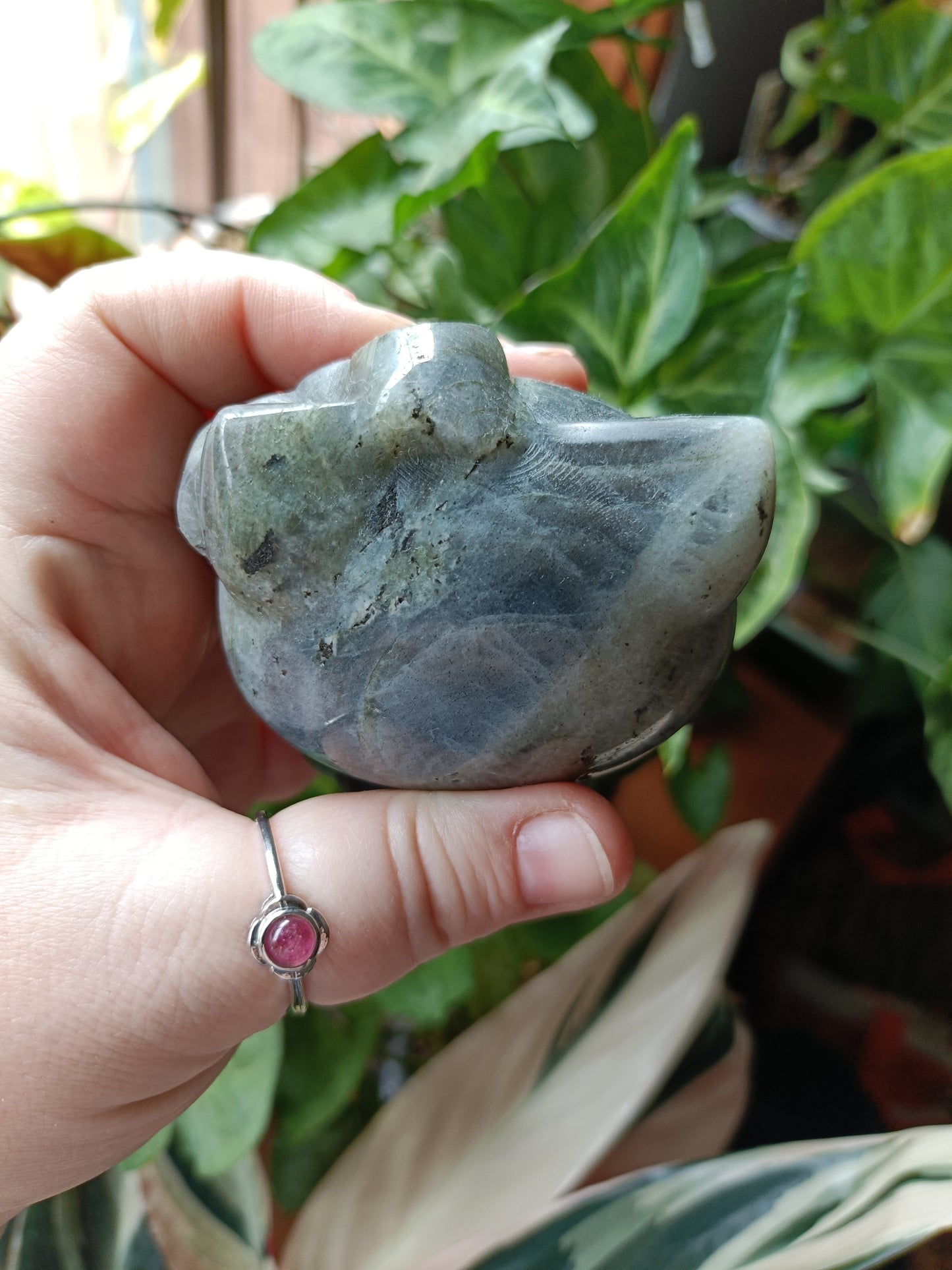 Labradorite Anime Kitty Carving - 474g