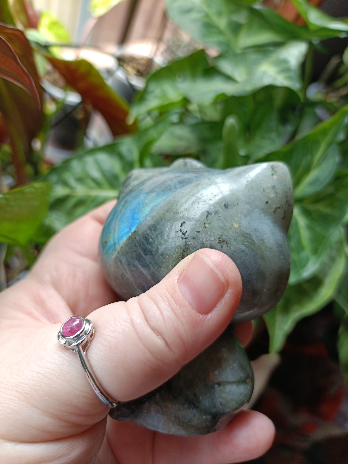 Labradorite Anime Kitty Carving - 474g