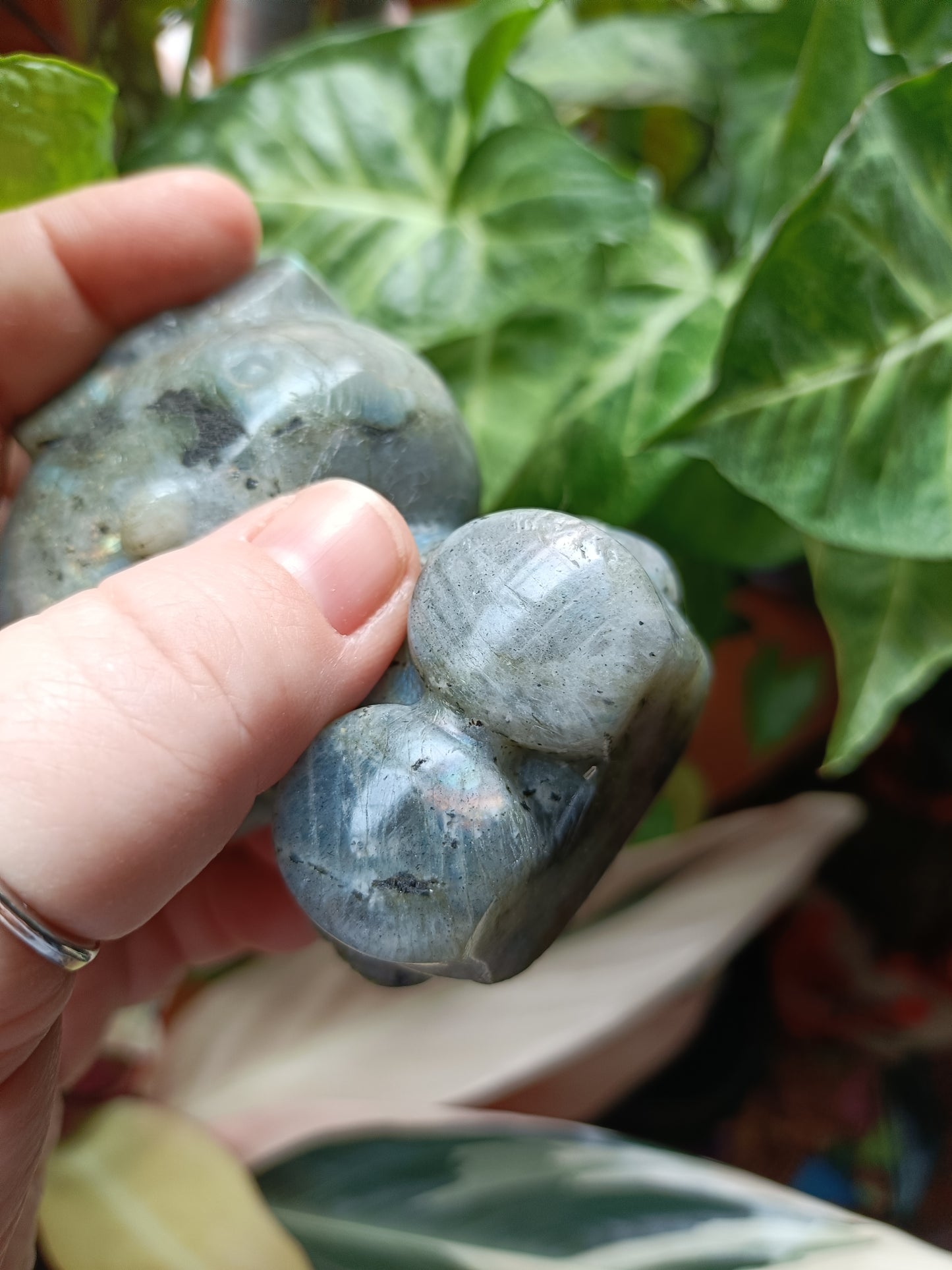 Labradorite Anime Kitty Carving - 474g