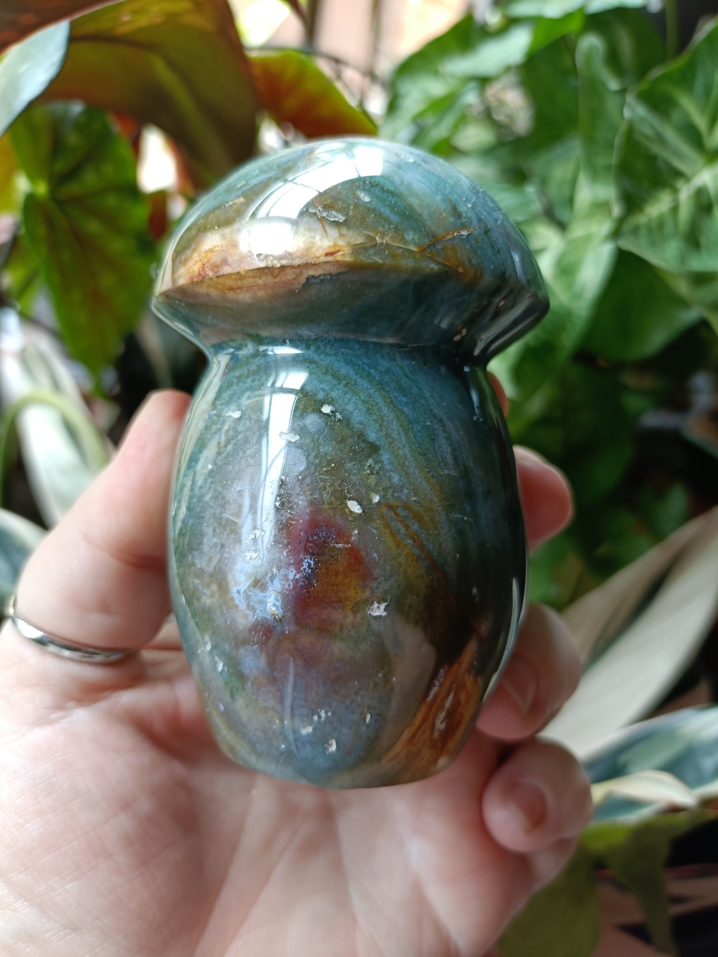 Ocean Jasper Mushroom - 545g