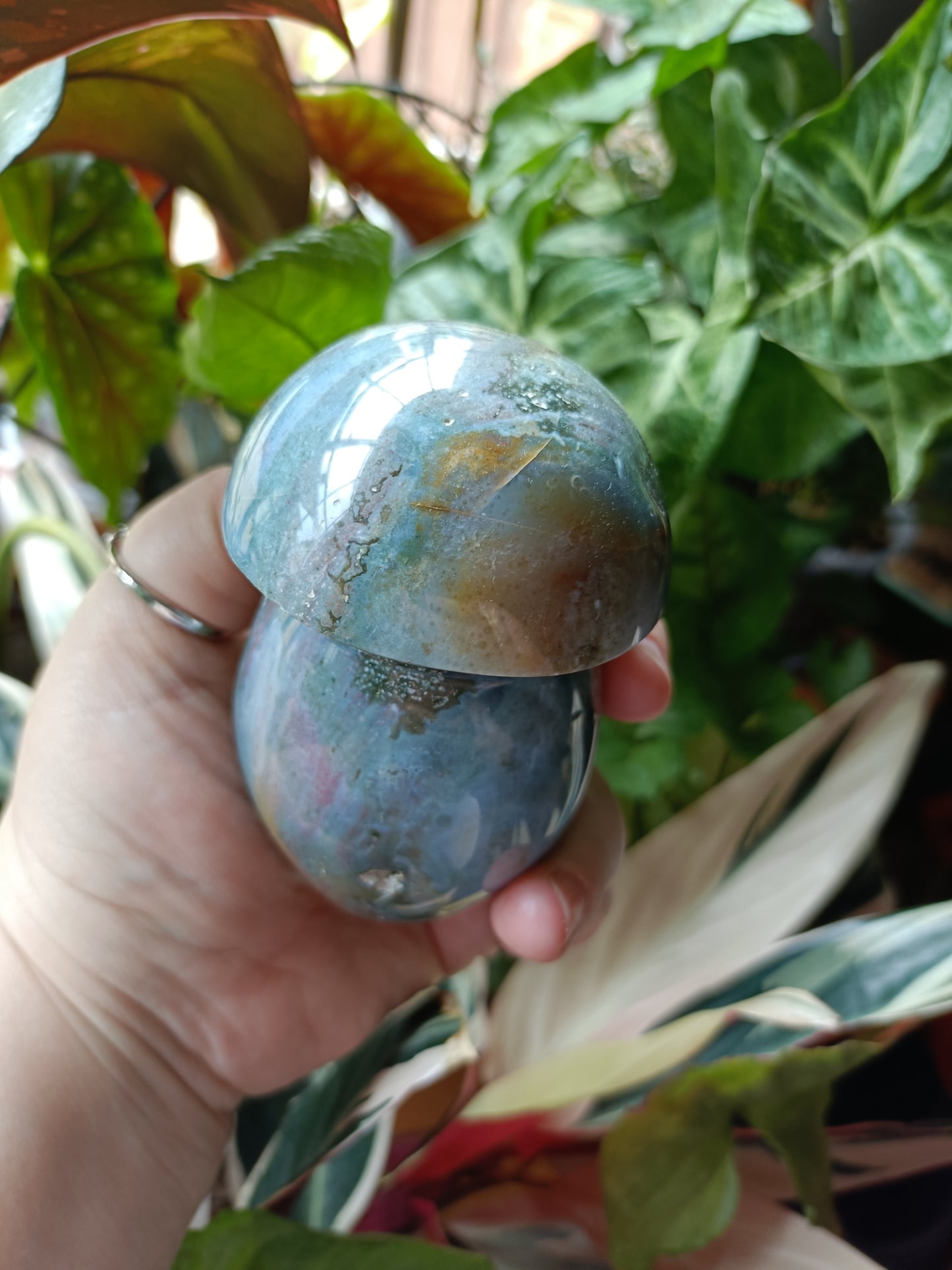 Ocean Jasper Mushroom - 545g